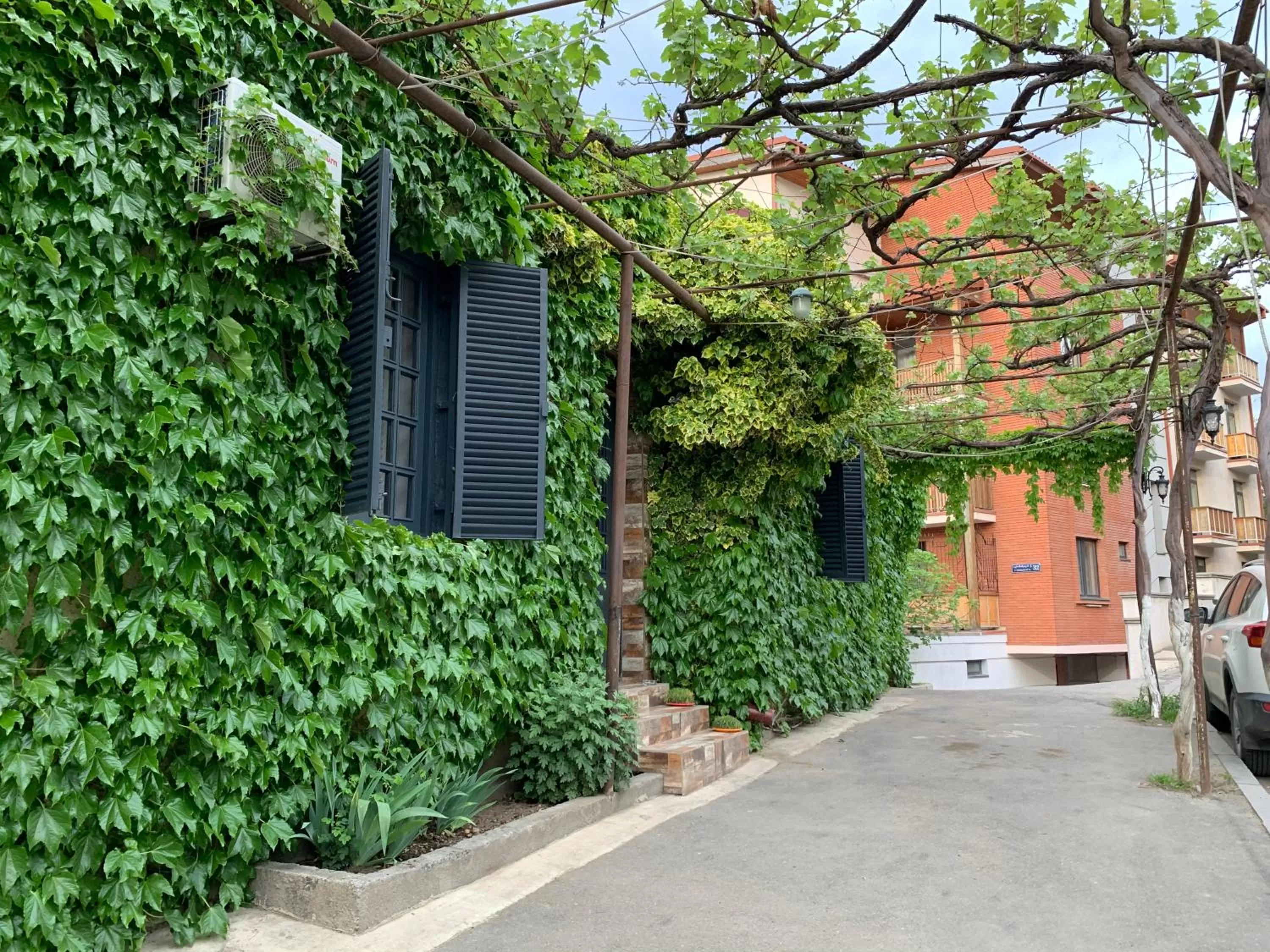 Property Building in Grape House