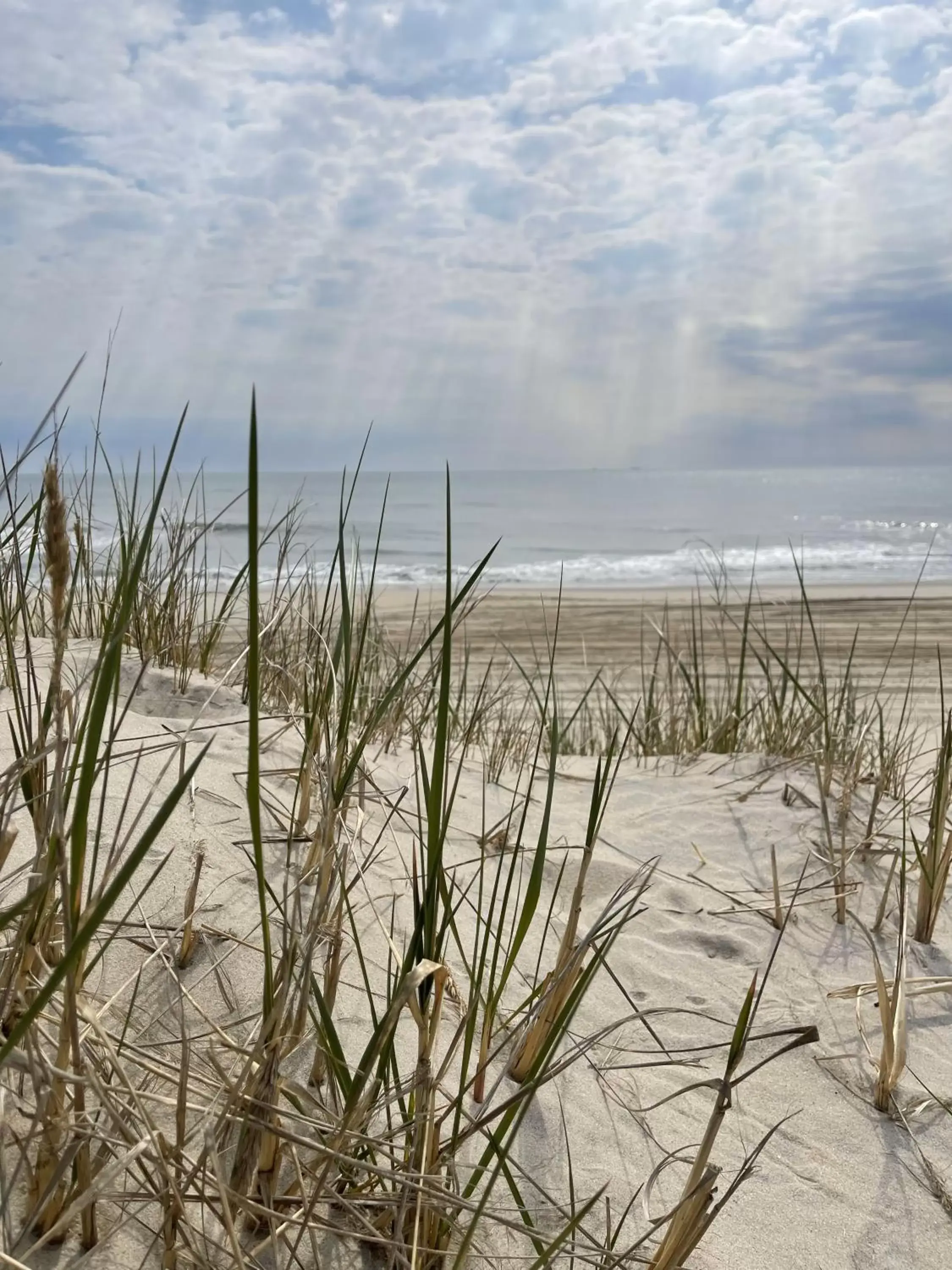 Nearby landmark, Winter in Comfort Suites Chincoteague Island Bayfront Resort