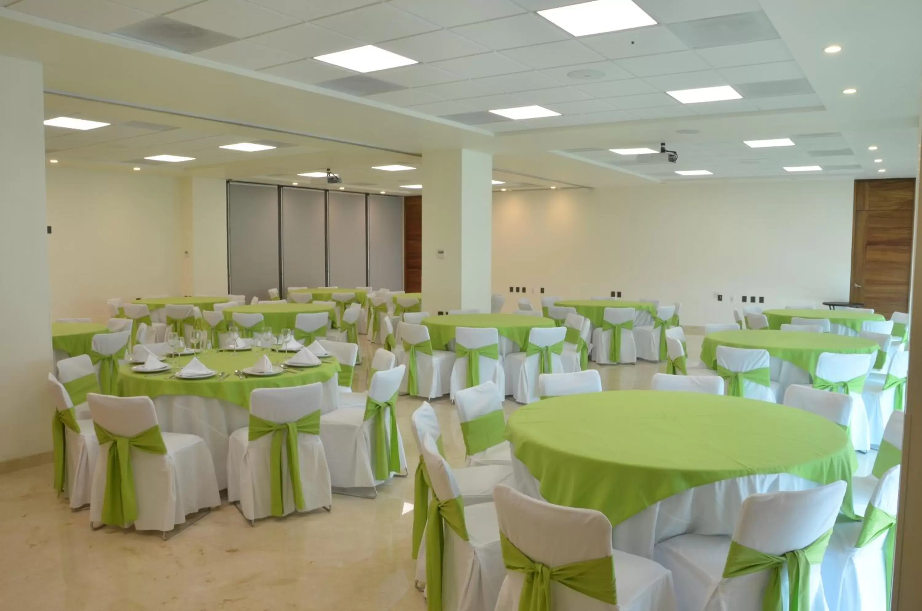 Meeting/conference room, Banquet Facilities in Holiday Inn Express Puerto Vallarta, an IHG Hotel