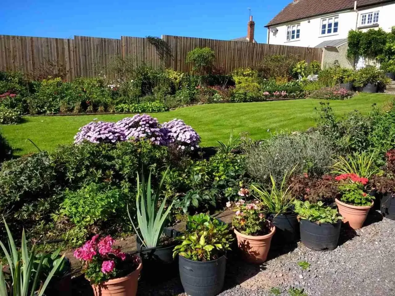 Garden view in Brambles Bed and Breakfast