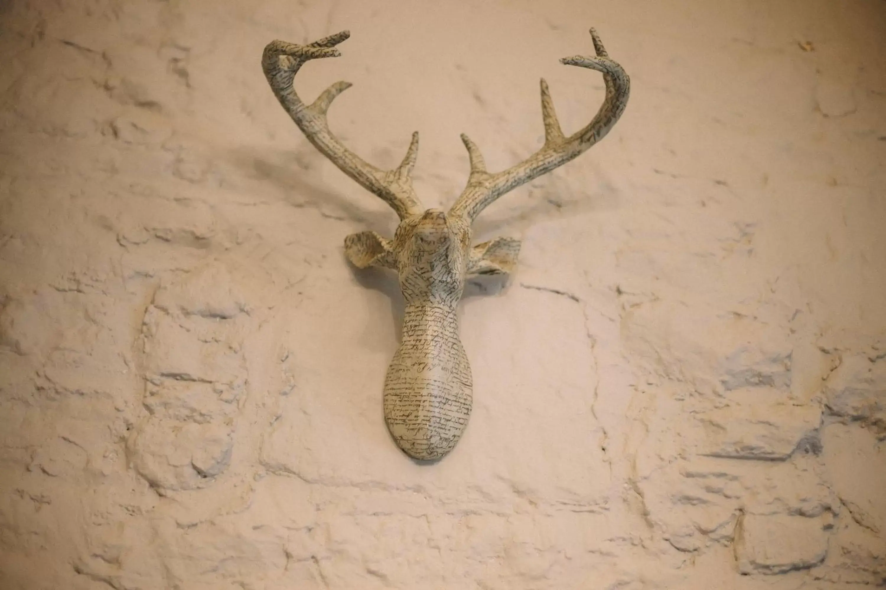 Decorative detail, Pets in The Stag at Stow