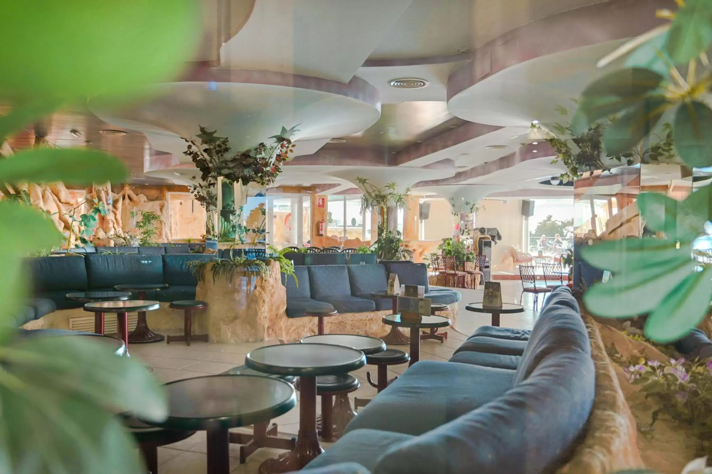 Lounge or bar, Lounge/Bar in Hotel Benikaktus