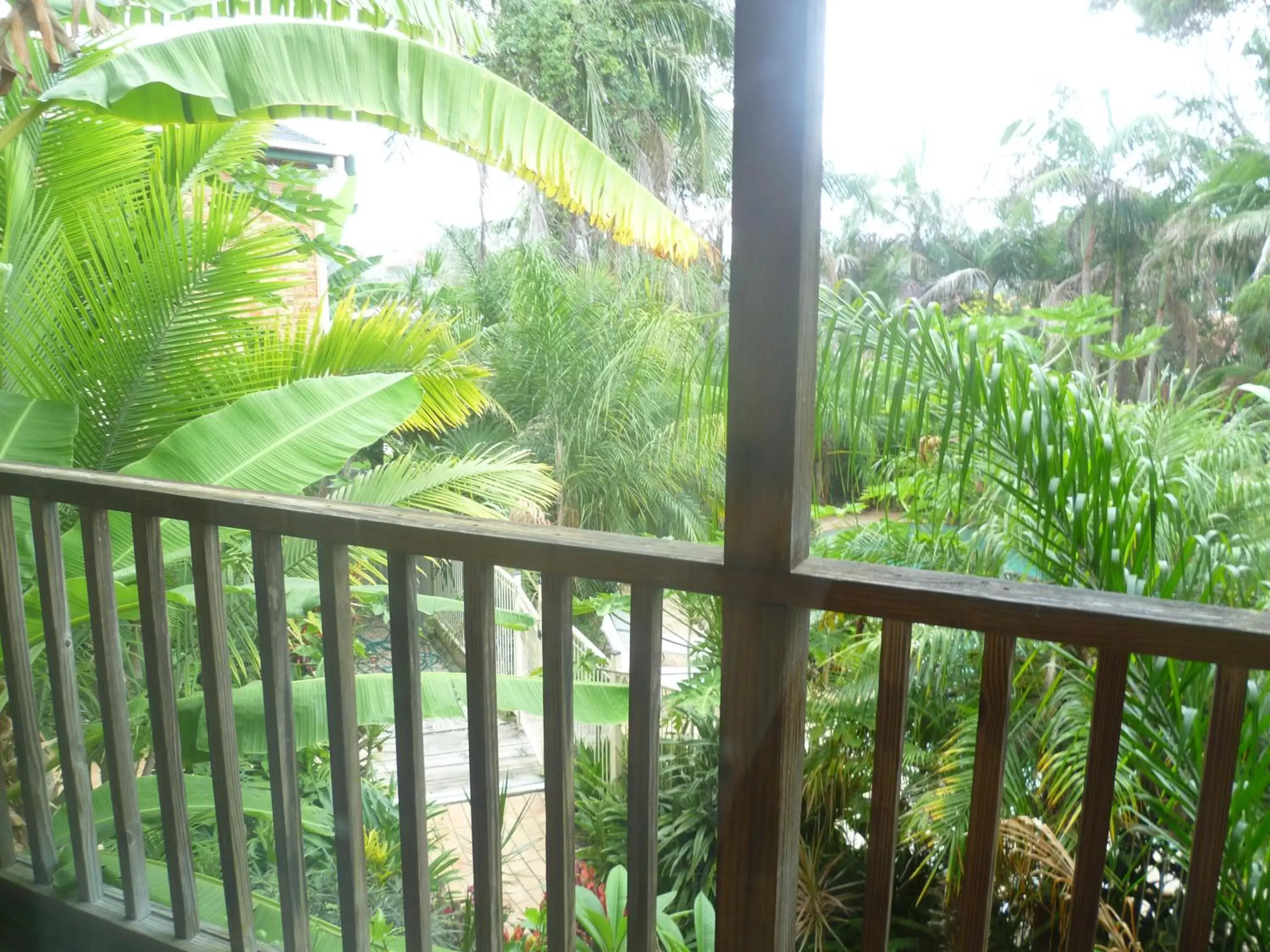 Balcony/Terrace, Pool View in Oasis Inn Ulladulla