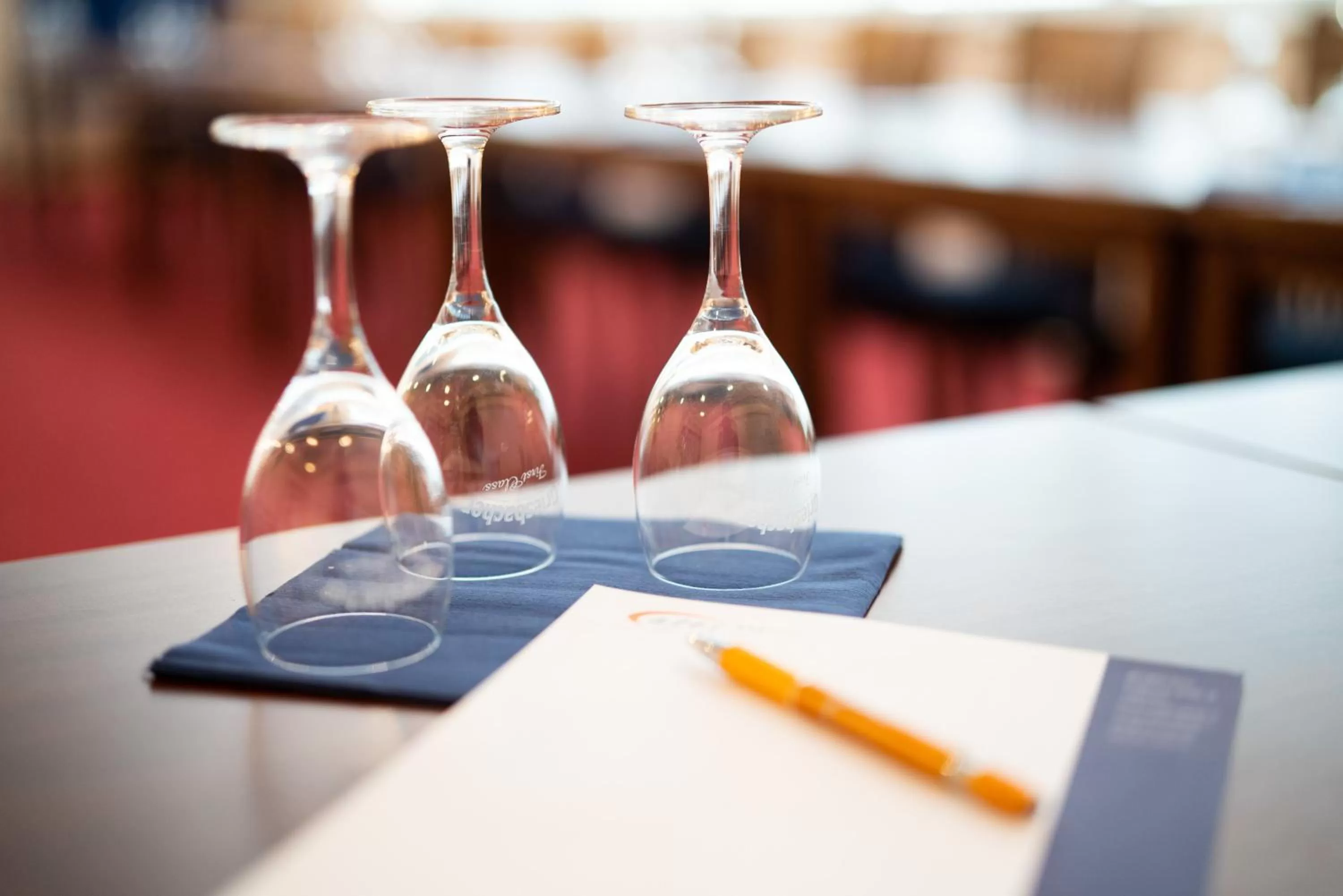 Meeting/conference room in ates Hotel Kehl