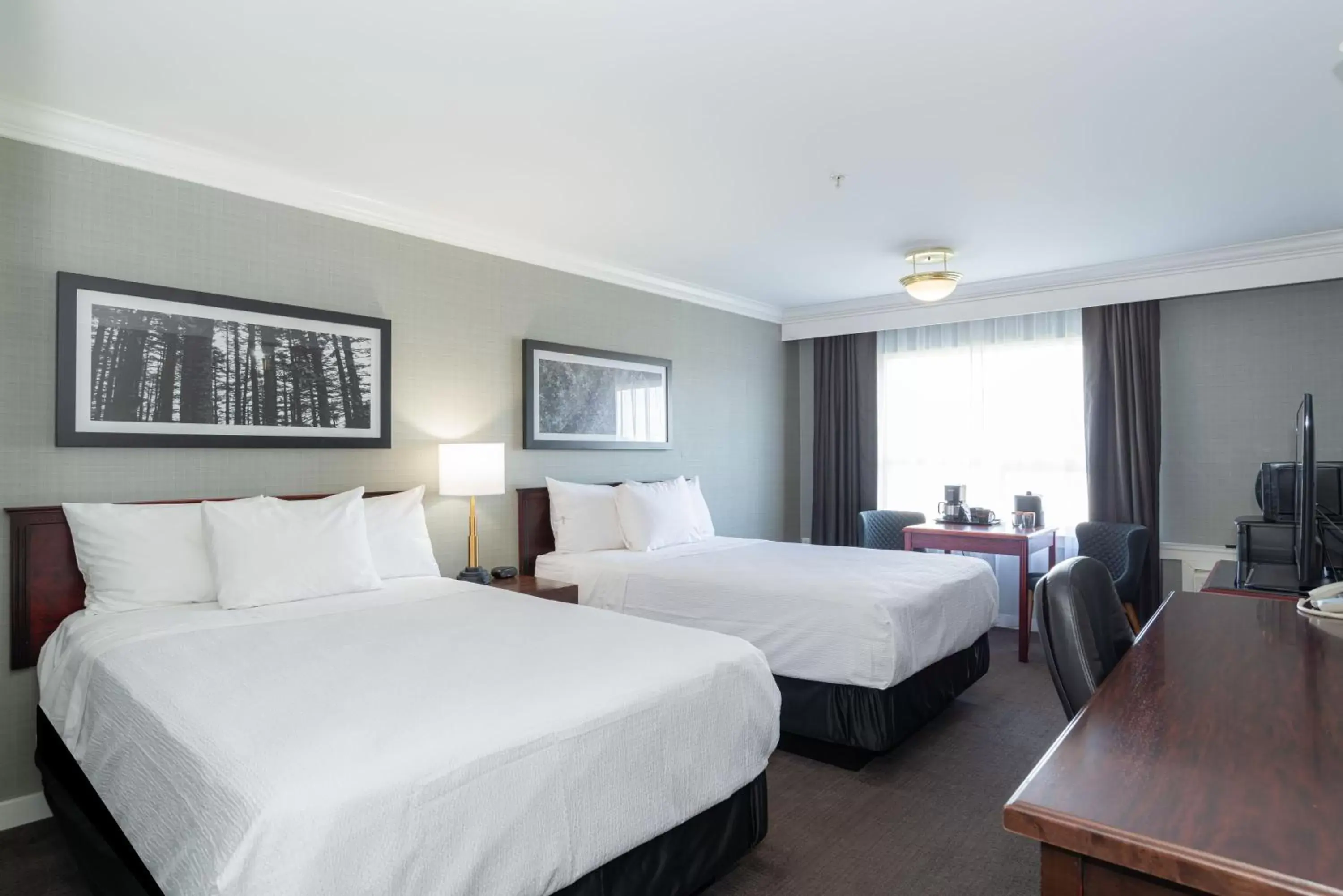 Photo of the whole room, Bed in Sandman Hotel Red Deer Photo of the whole room, Bed in Sandman Hotel Red Deer