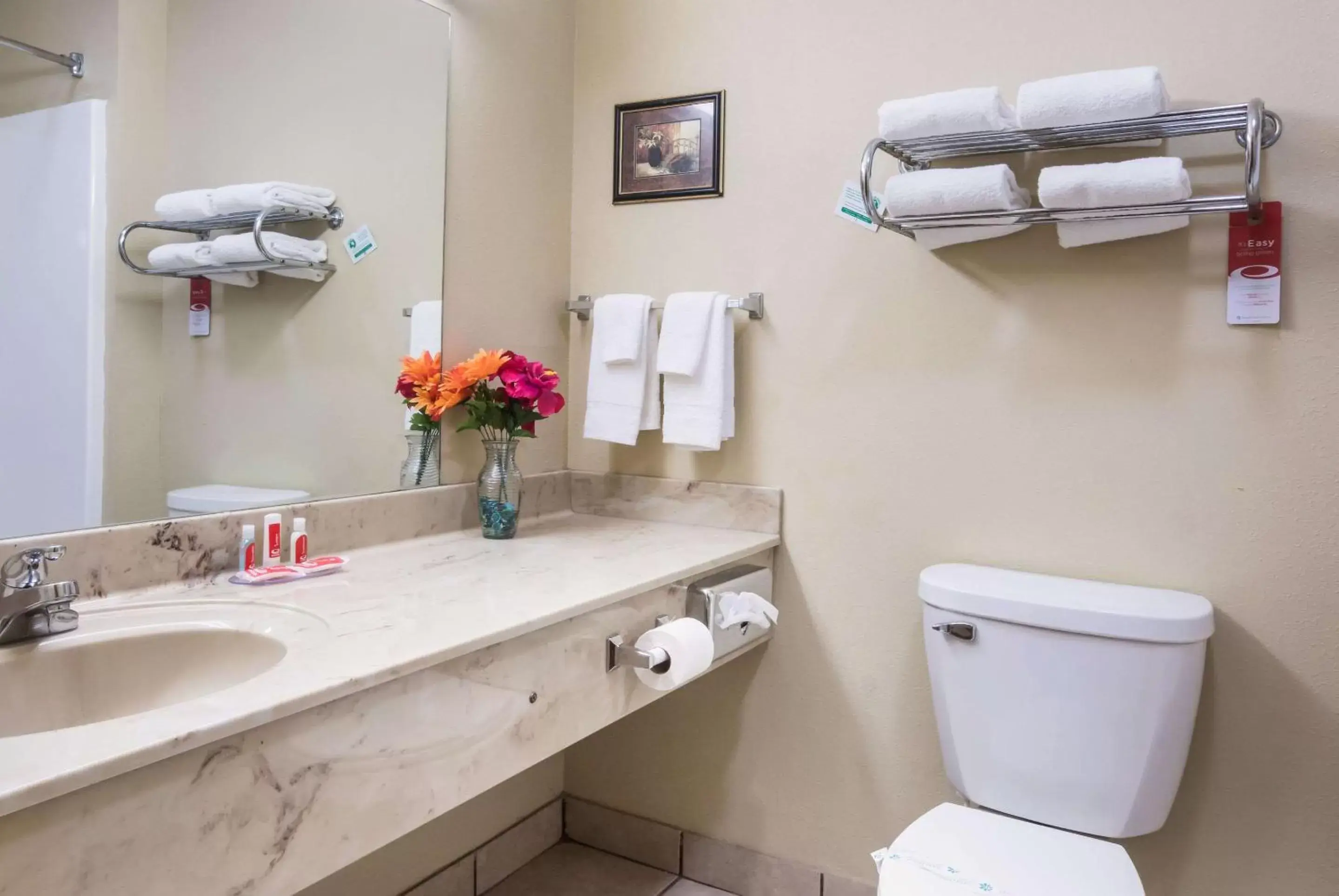 Bathroom in Econo Lodge Inn & Suites Rockmart