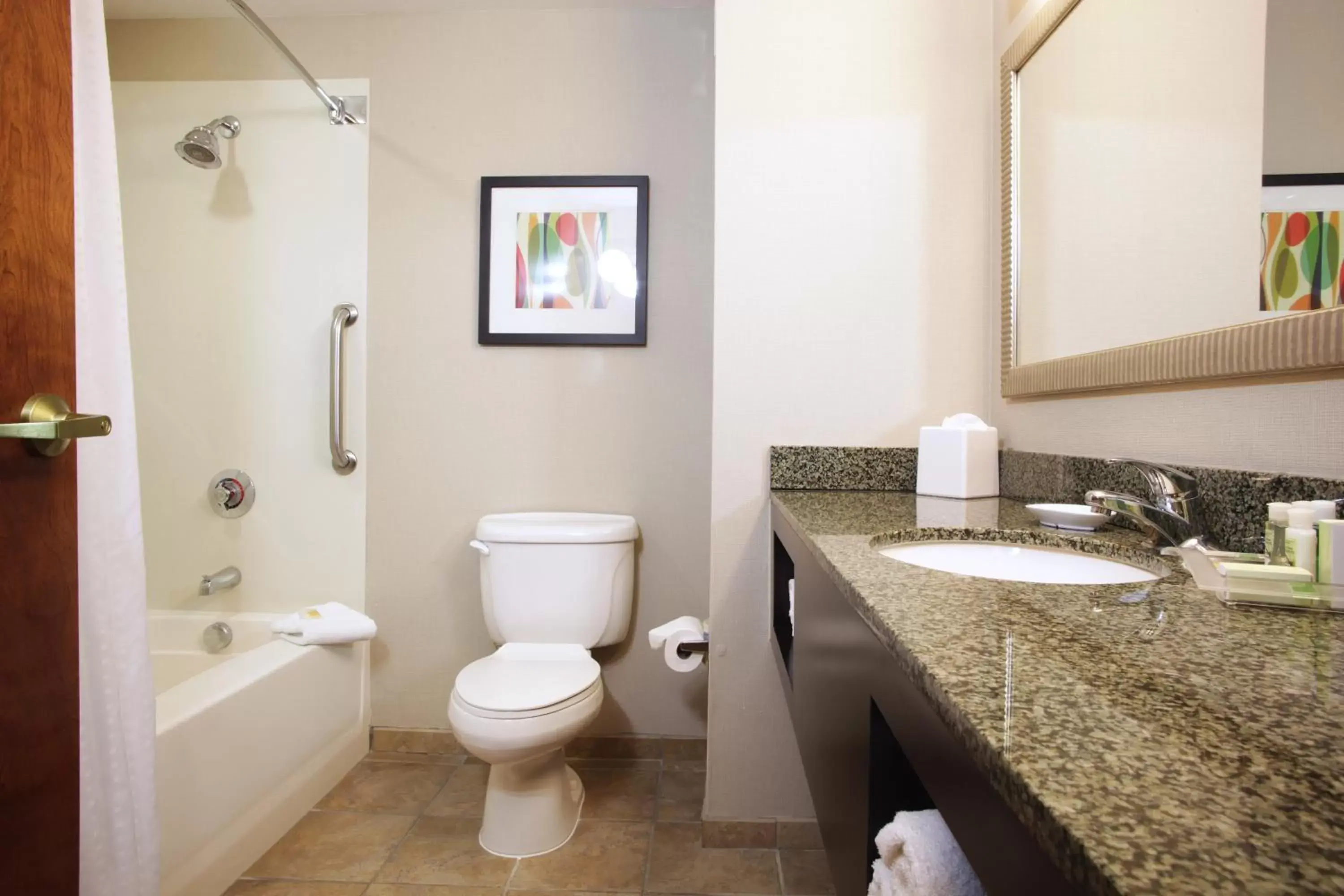 Lobby or reception, Bathroom in Holiday Inn Phoenix/Chandler, an IHG Hotel
