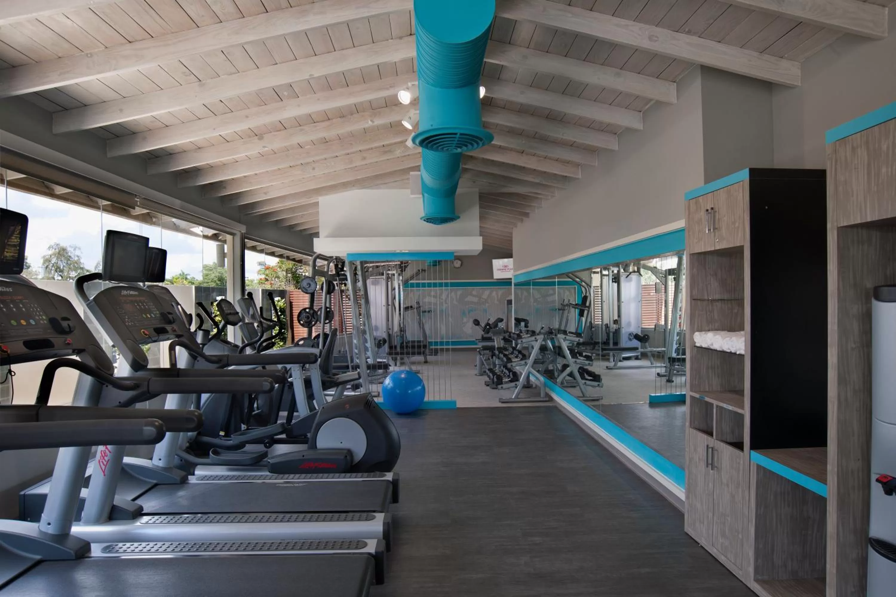 Fitness centre/facilities in Crowne Plaza Santo Domingo by IHG