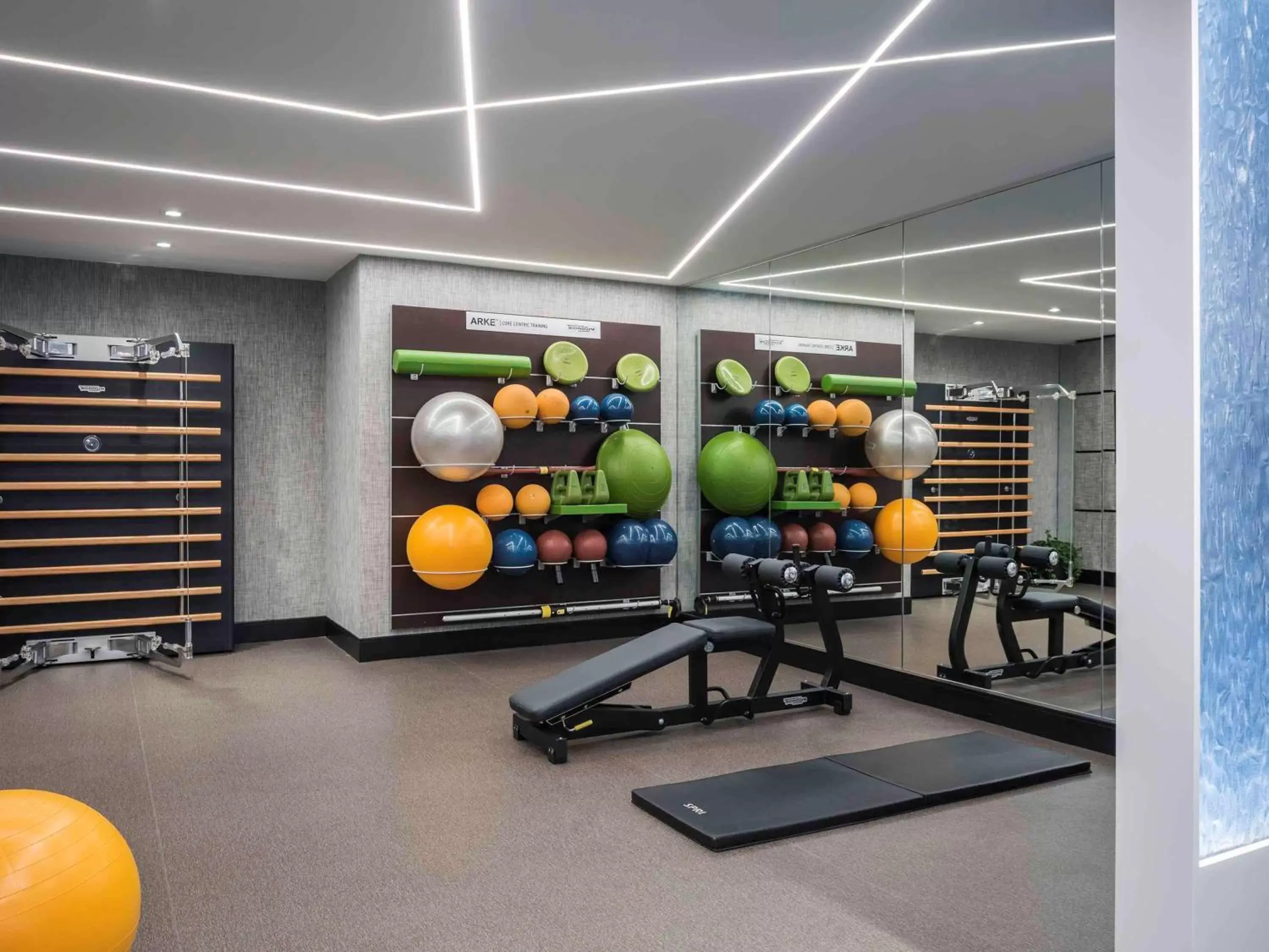Fitness centre/facilities, Fitness Center/Facilities in Sofitel Chicago Magnificent Mile
