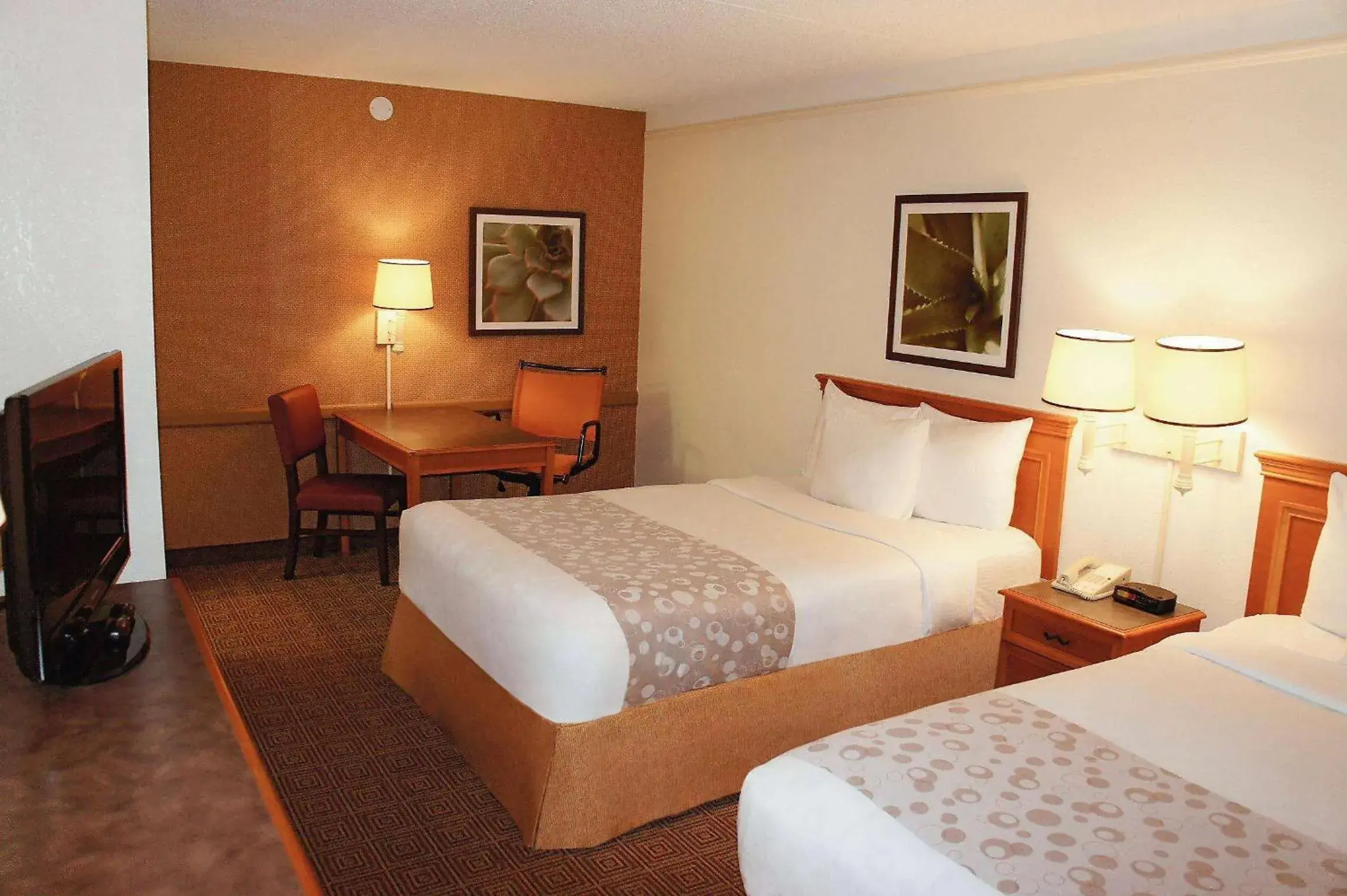 Photo of the whole room, Bed in Days Inn by Wyndham Augusta Washington Rd