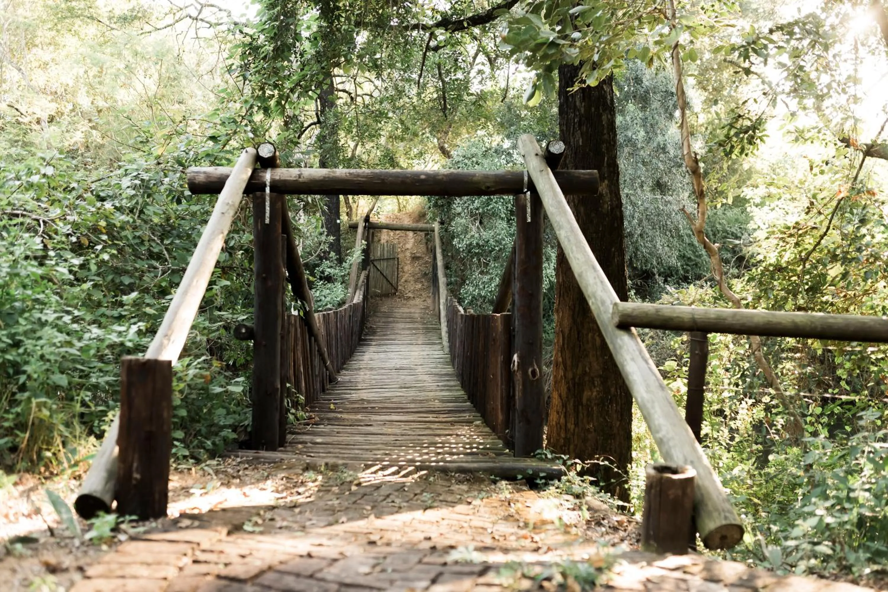 Activities in Tzaneen Country Lodge