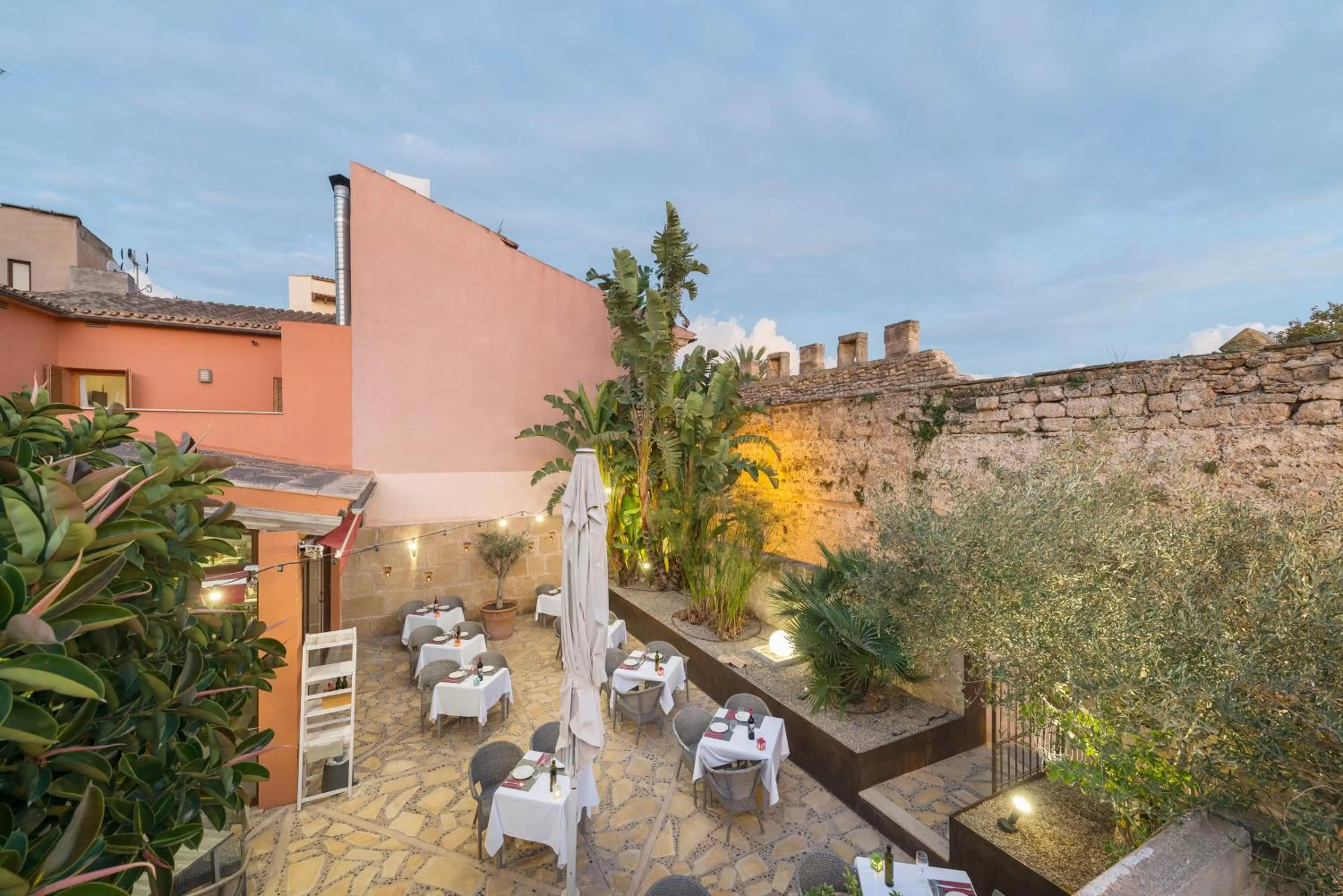 Patio in Alcudia Petit - Turismo de Interior