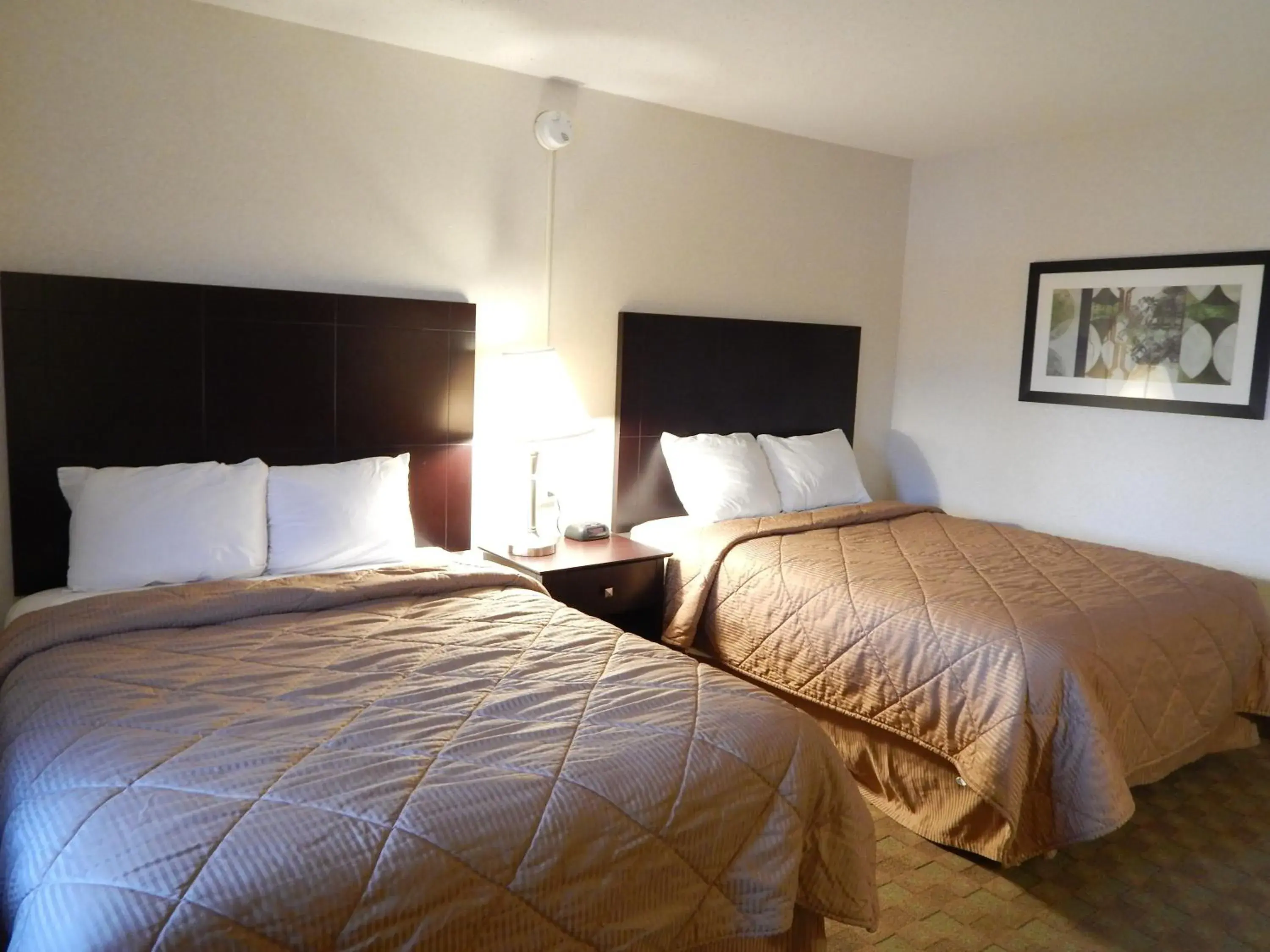 Bed in Super 8 by Wyndham White River Junction