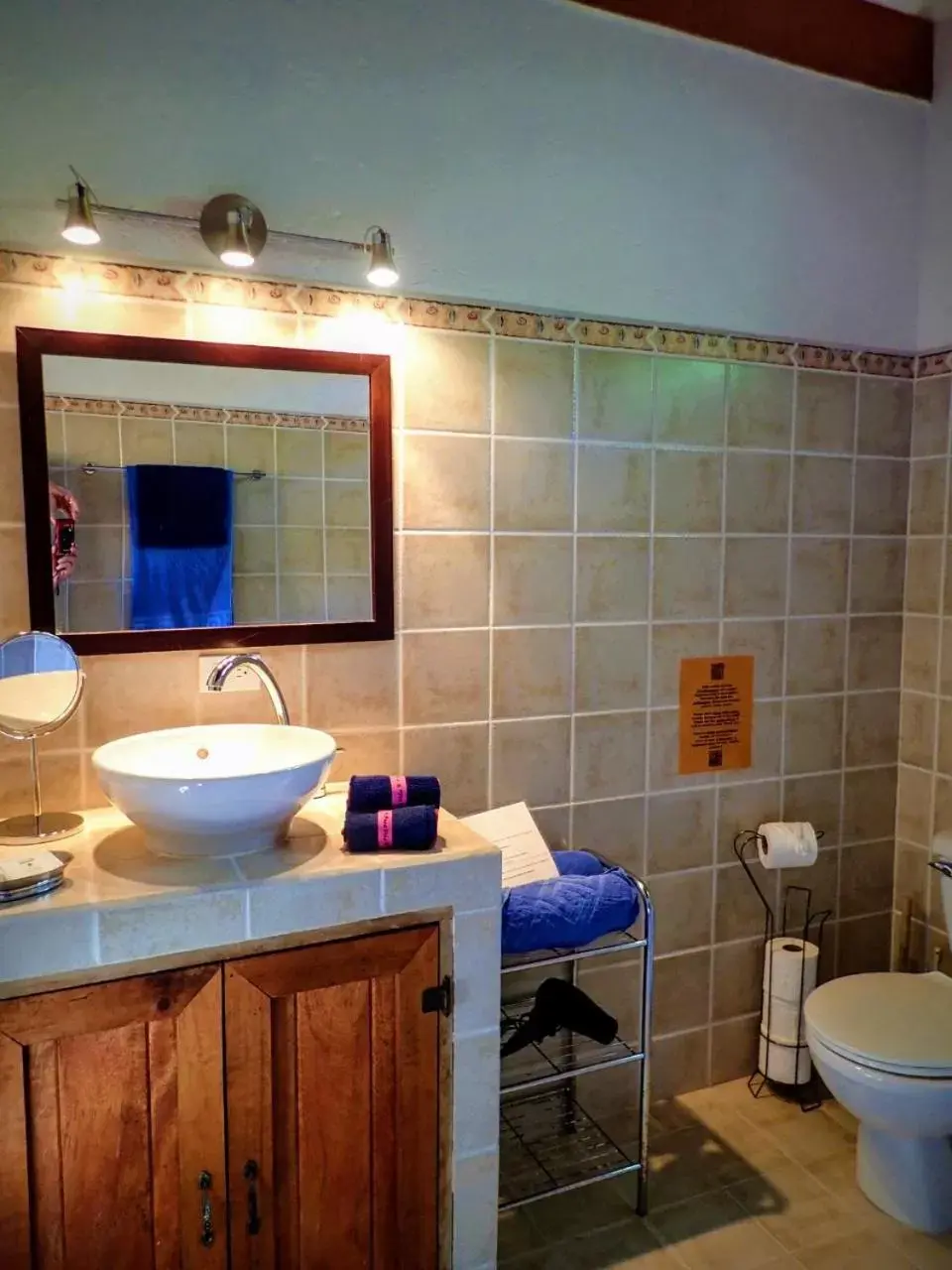 Bathroom in Orosi Lodge