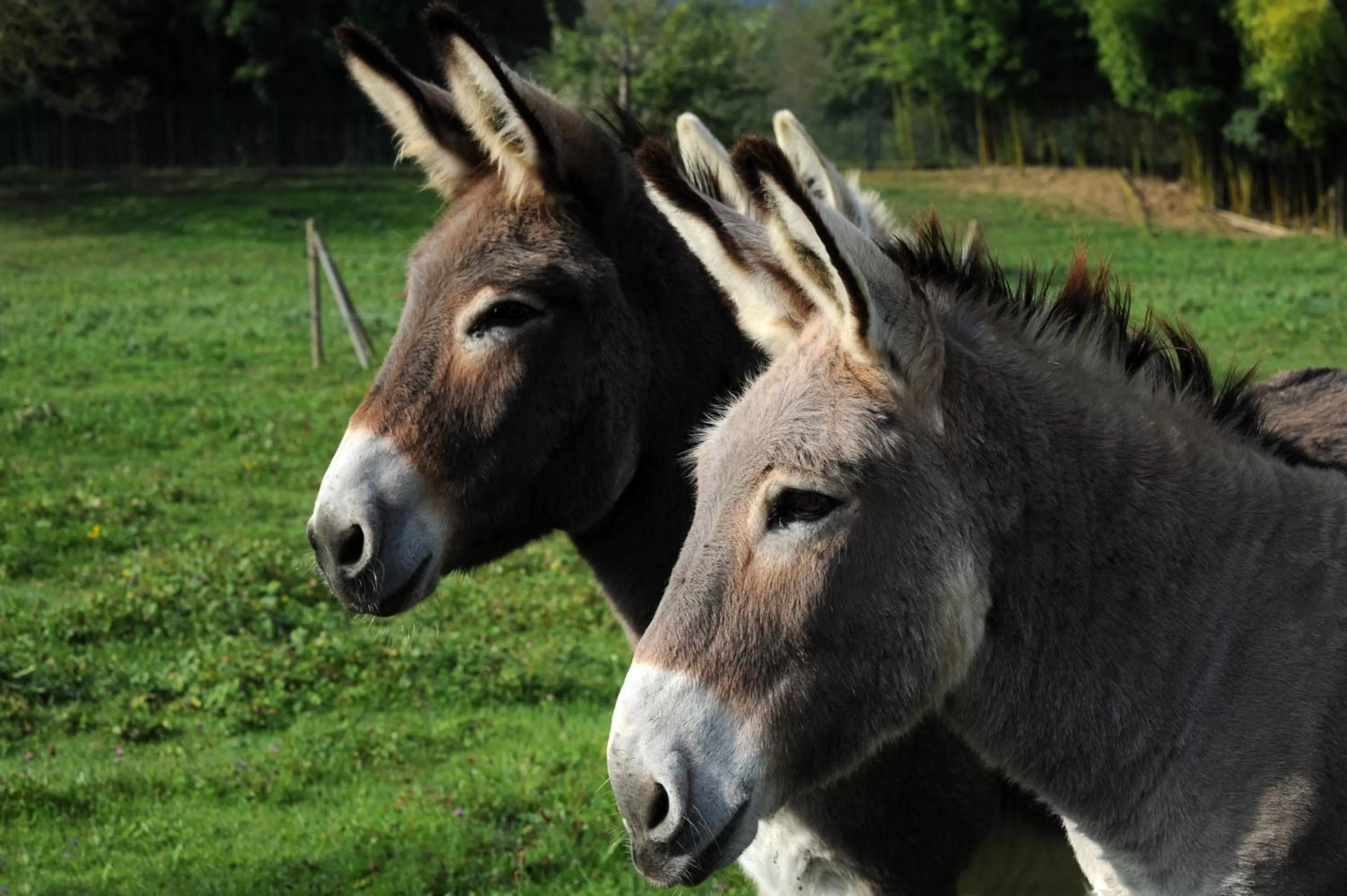 Photo of the whole room in Domaine de Suzel