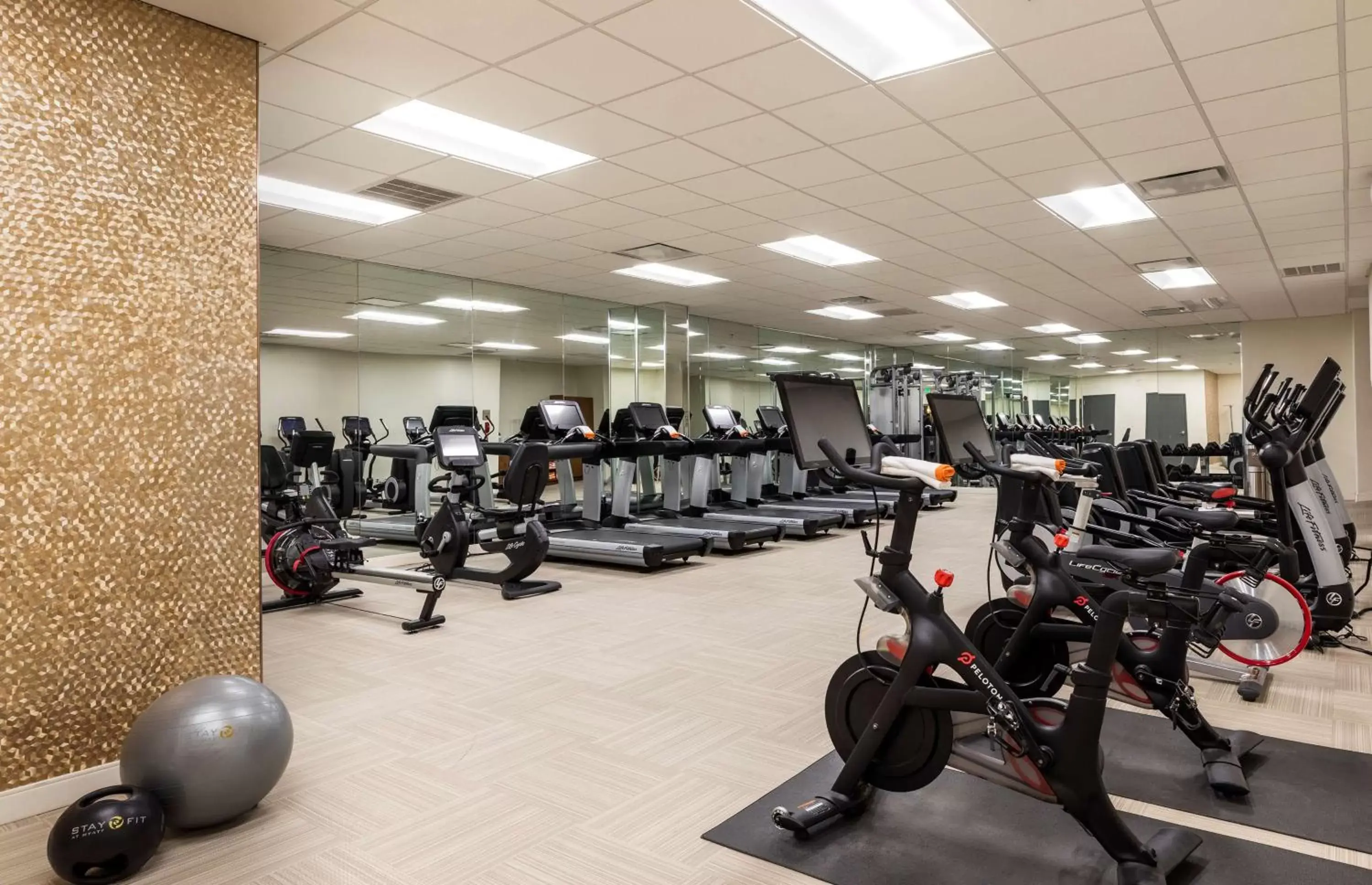 Spa and wellness centre/facilities, Fitness Center/Facilities in Hyatt Regency Houston