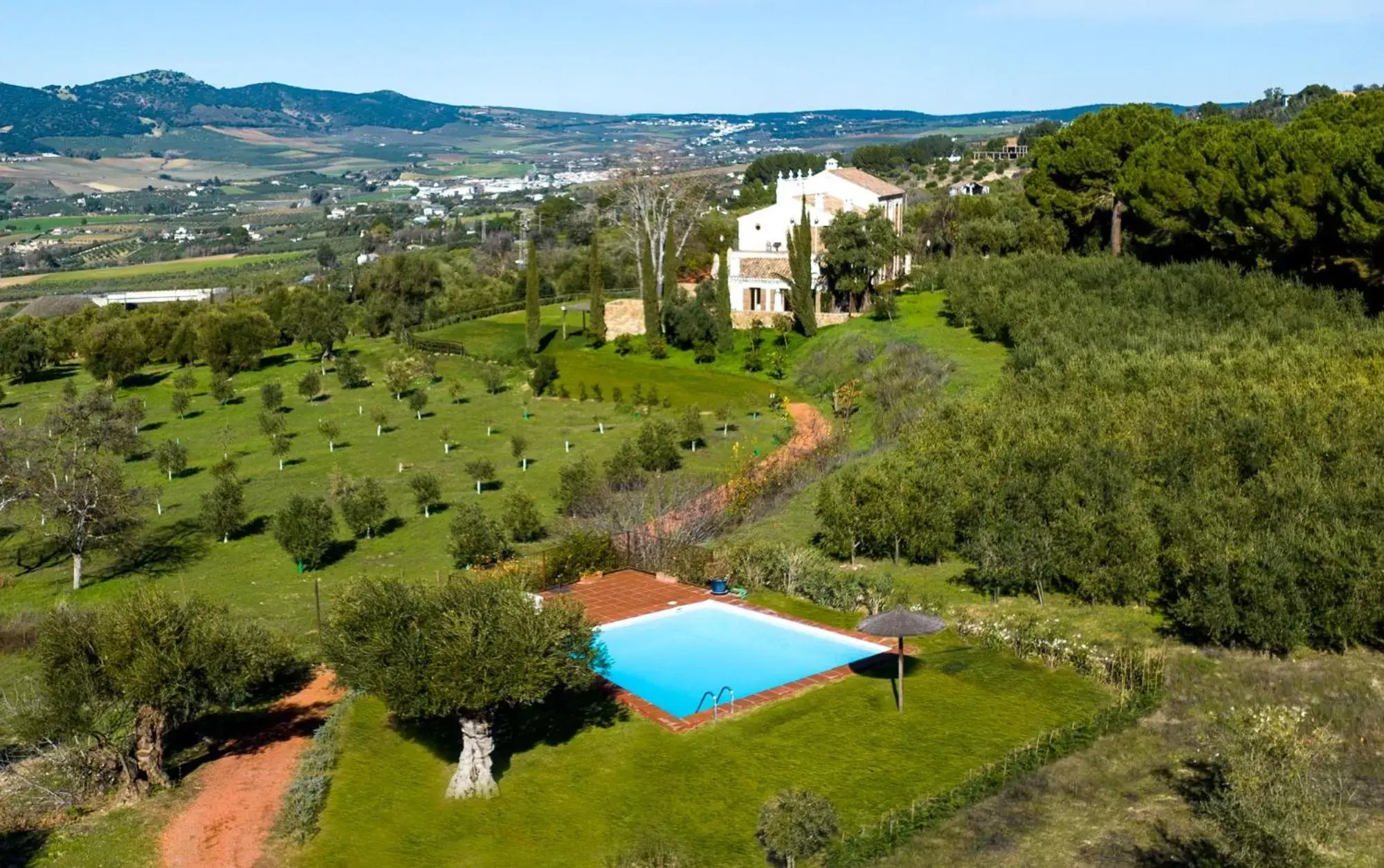 Bird's-eye View in Cortijo LA Organic