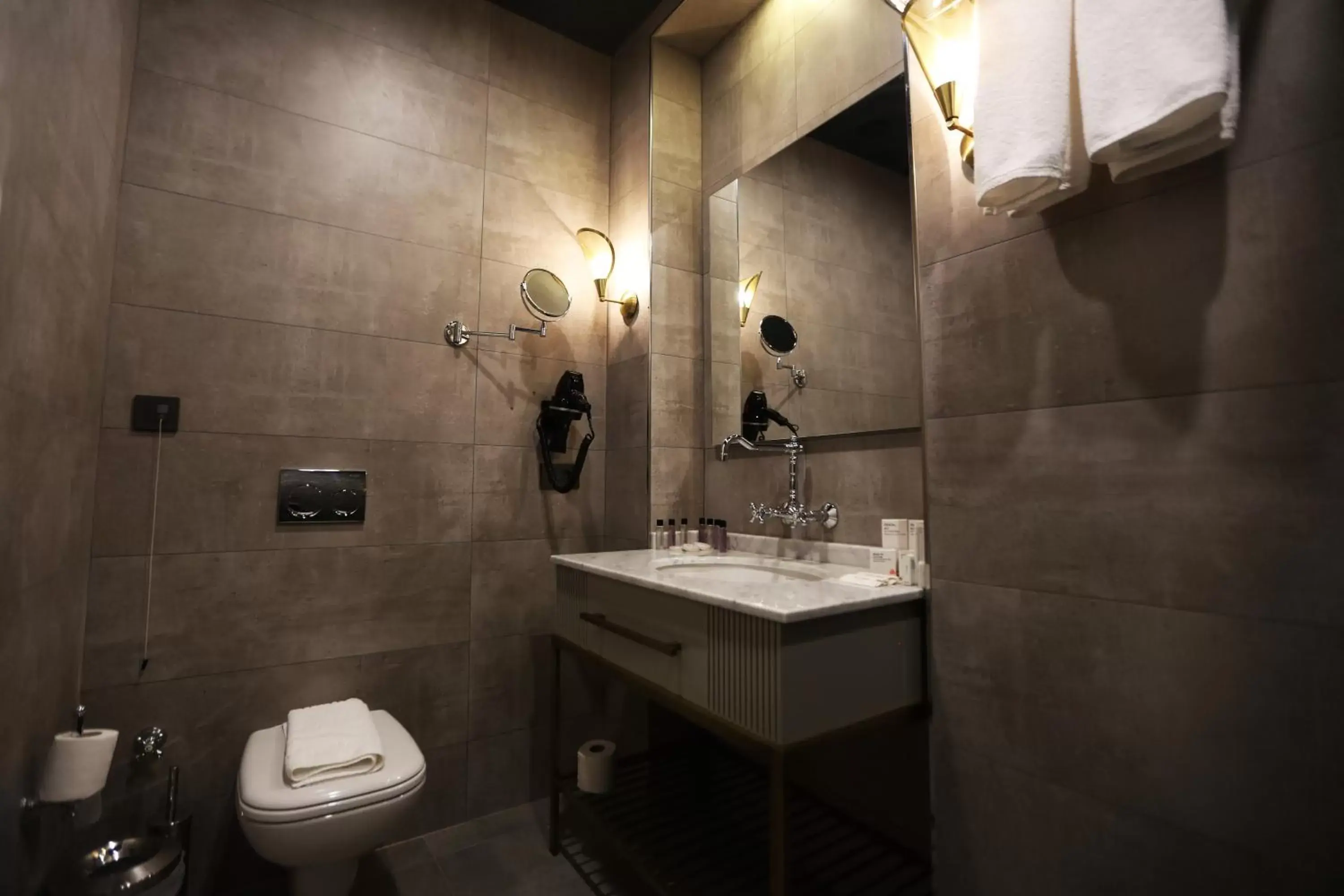 Toilet, Bathroom in Royal Tophane