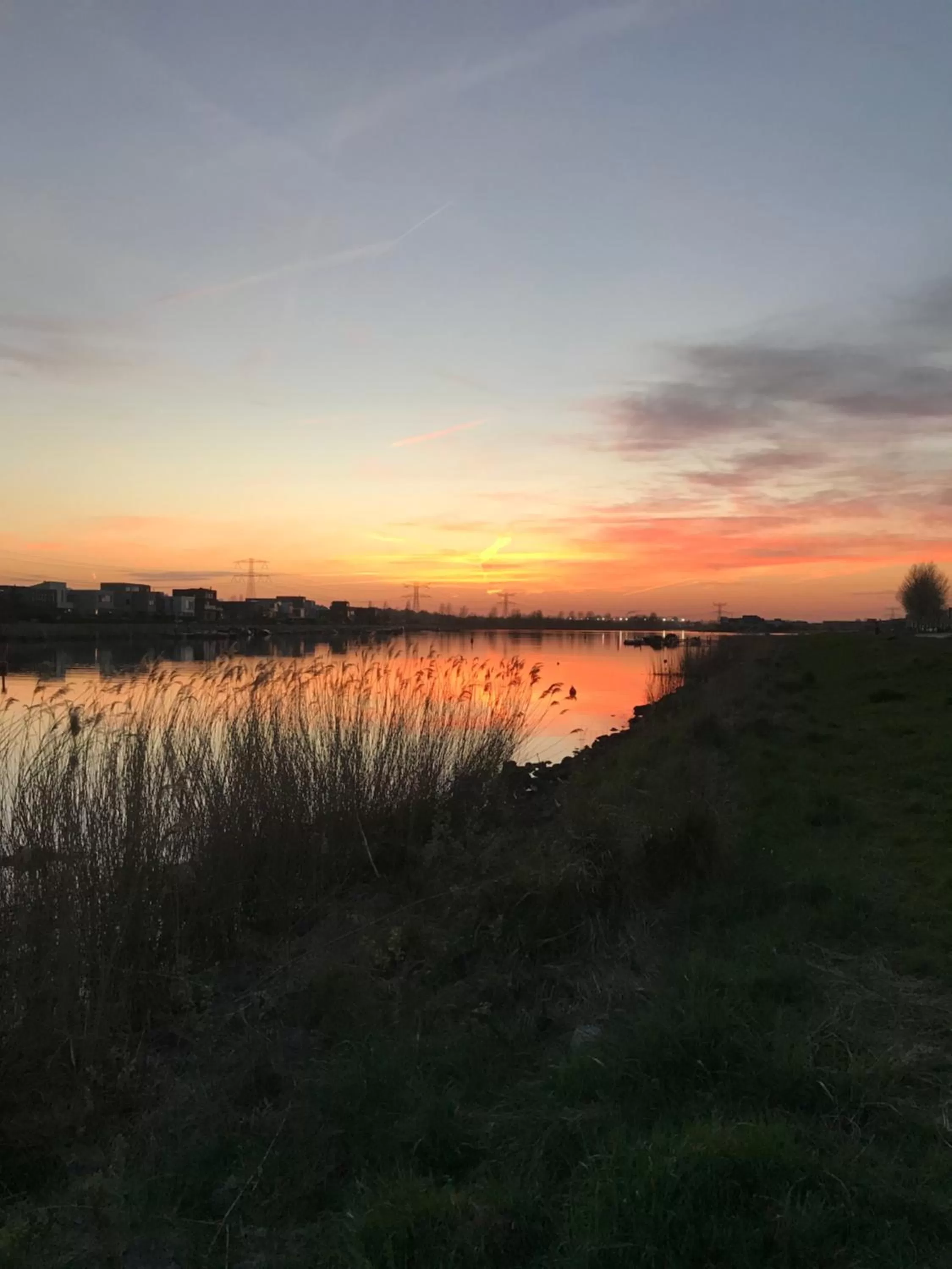 Neighbourhood in Waterfront Studio