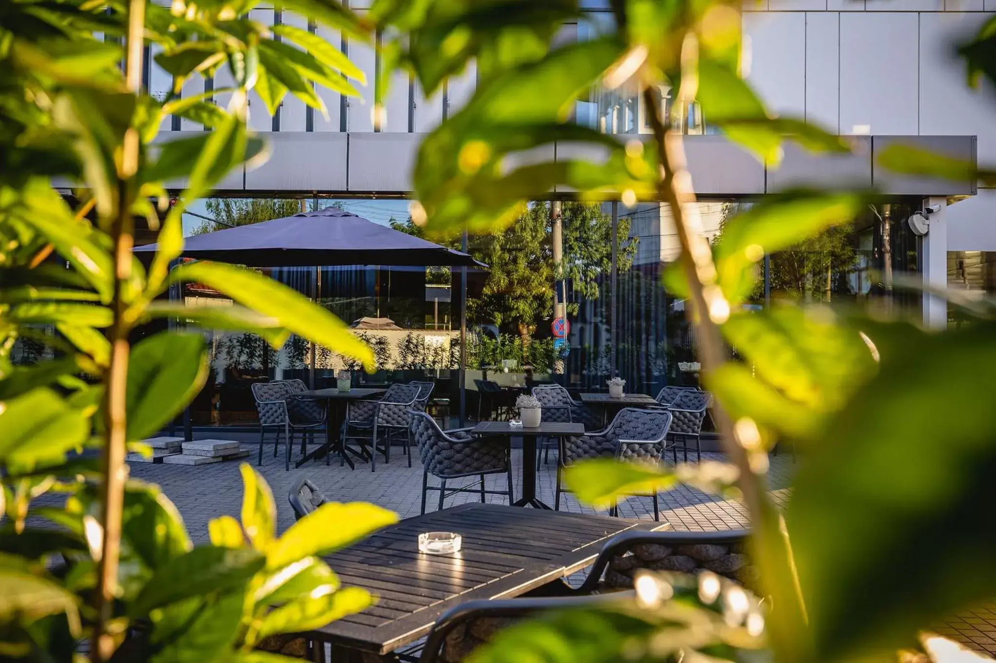 Restaurant/places to eat in Hermanns Hotel & Spa Sibiu Restaurant/places to eat in Hermanns Hotel & Spa Sibiu