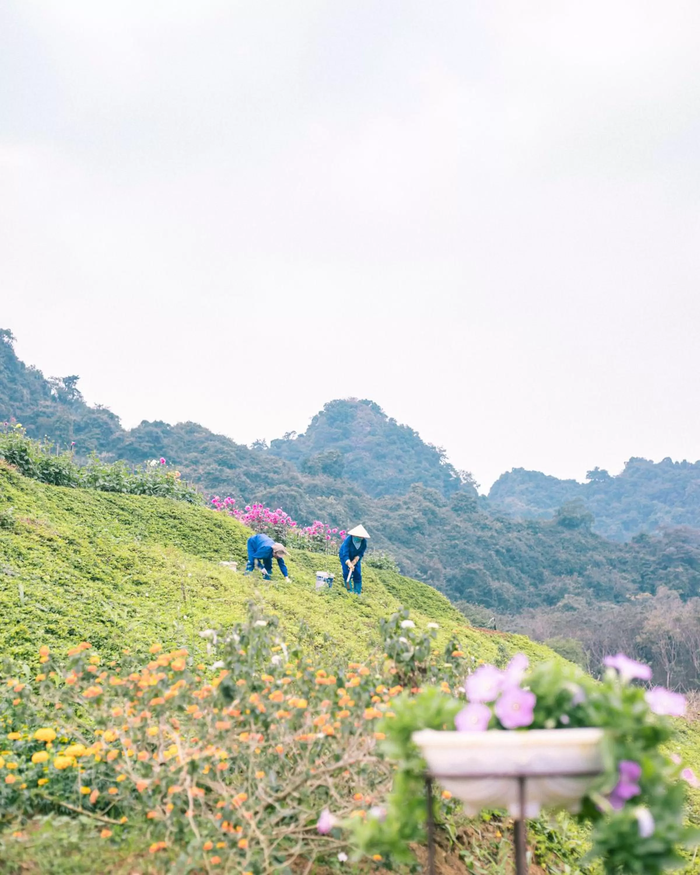 Natural landscape in Thung Nham Resort
