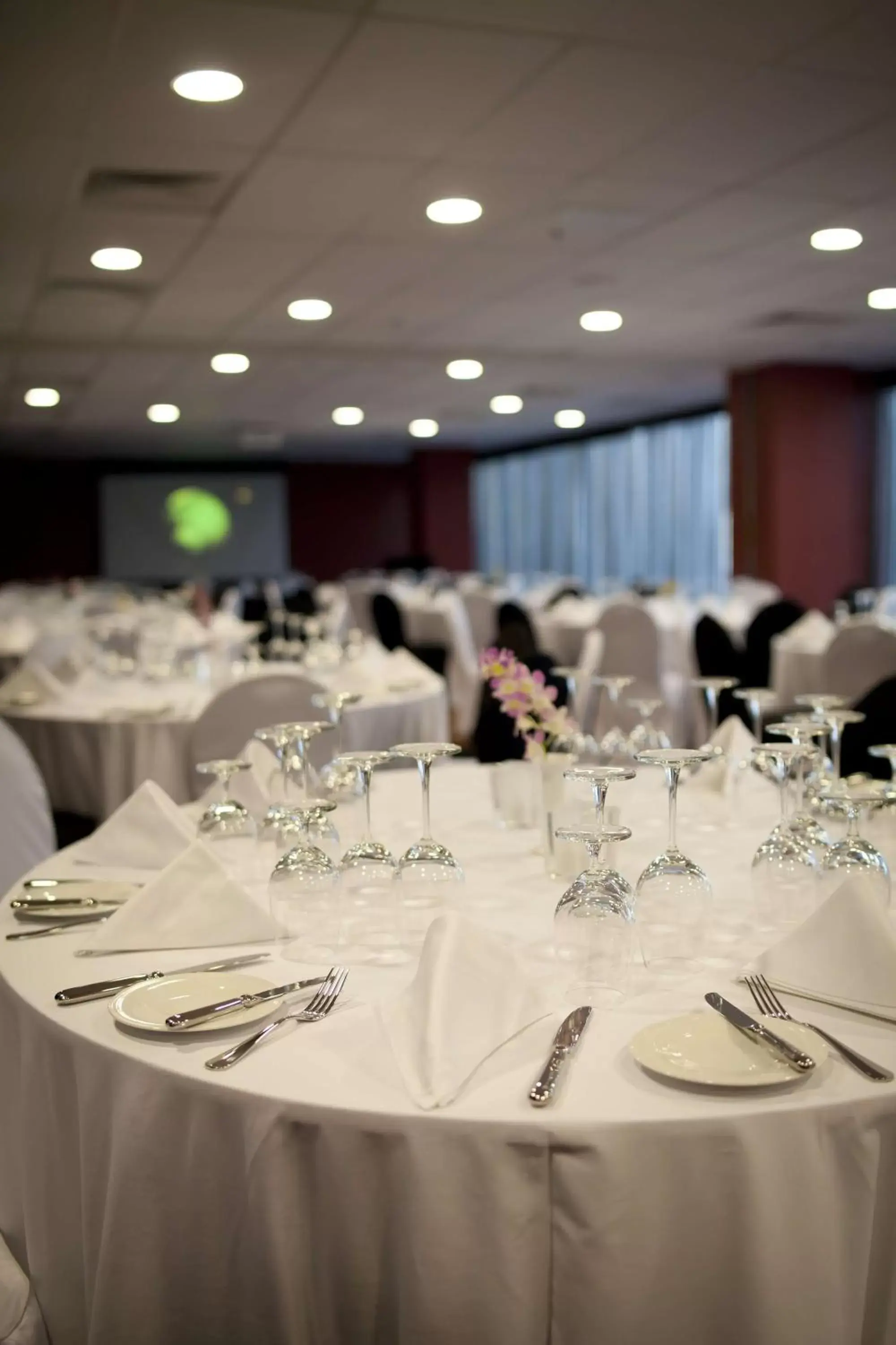 Restaurant/places to eat, Banquet Facilities in Grand Papua Hotel, a member of Radisson Individuals