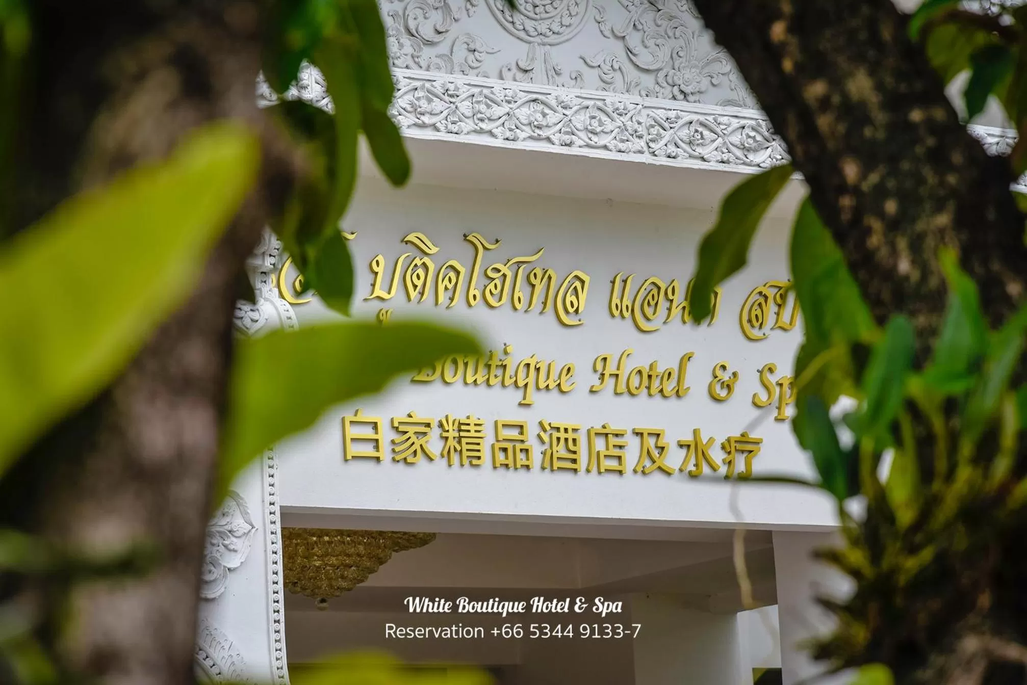 Property logo or sign in White Boutique Hotel and Spa