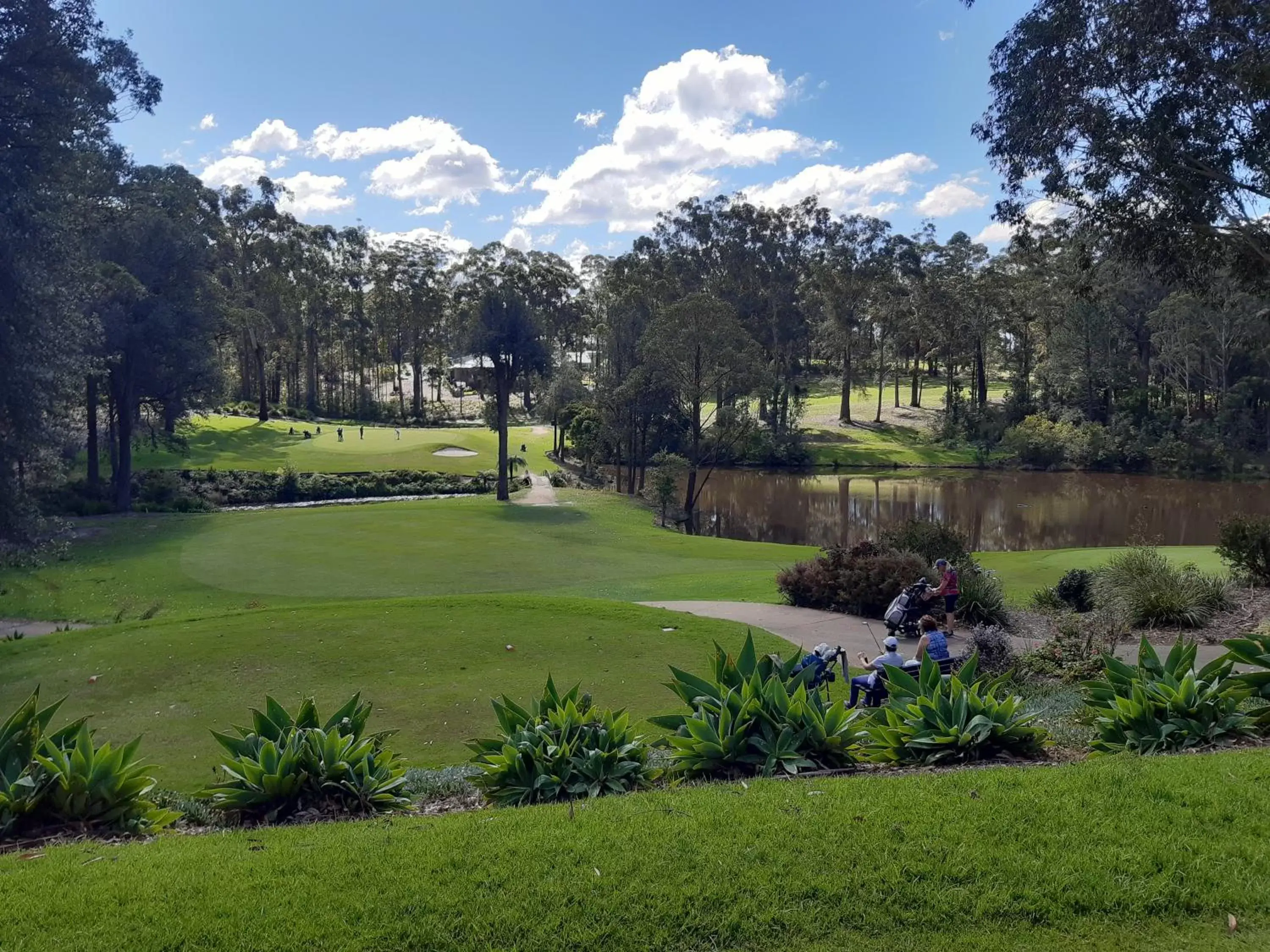 Golfcourse, Garden in Dolphins of Mollymook Motel and Fifth Green Apartments