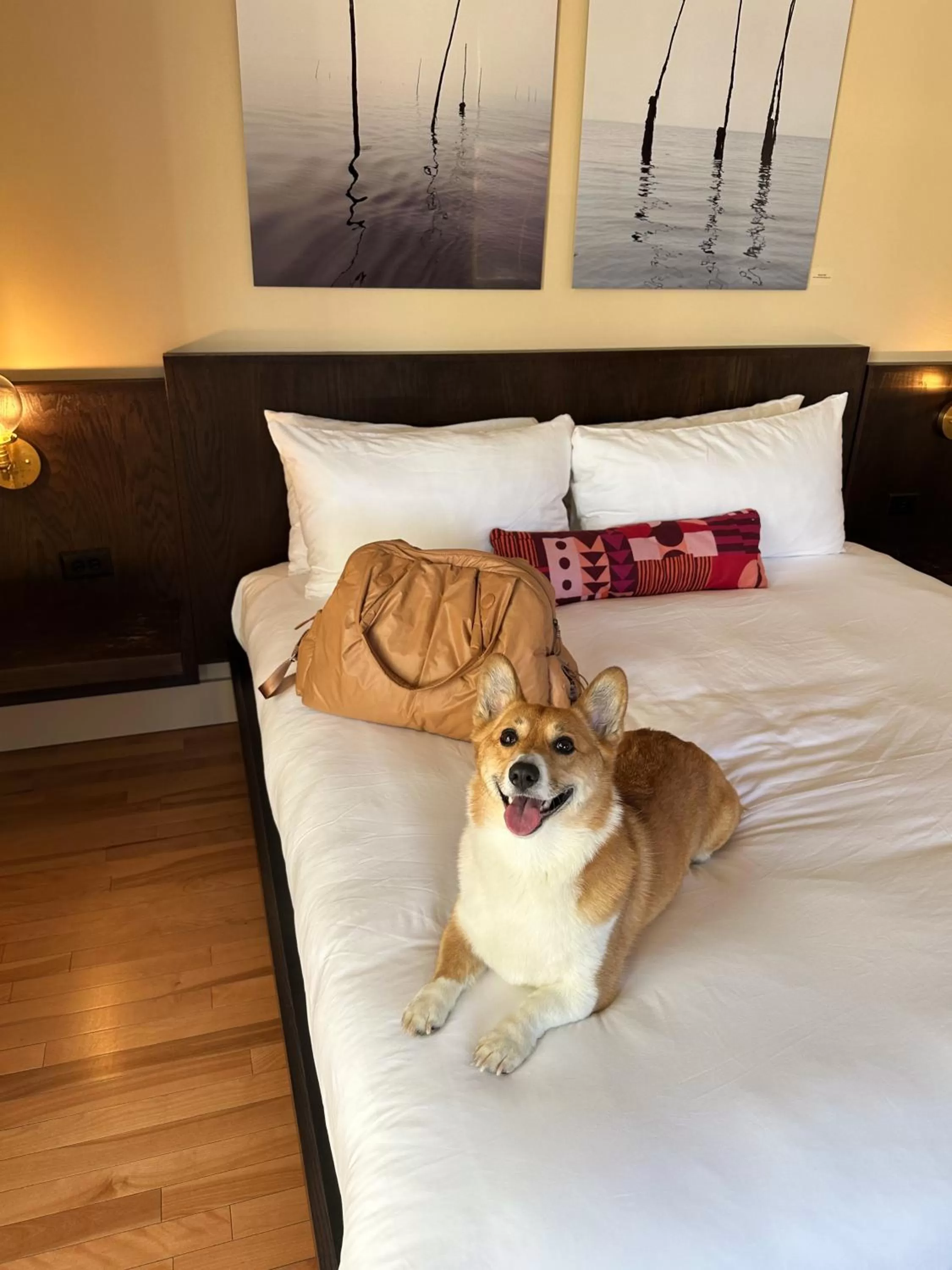 Bed in The Francis Hotel