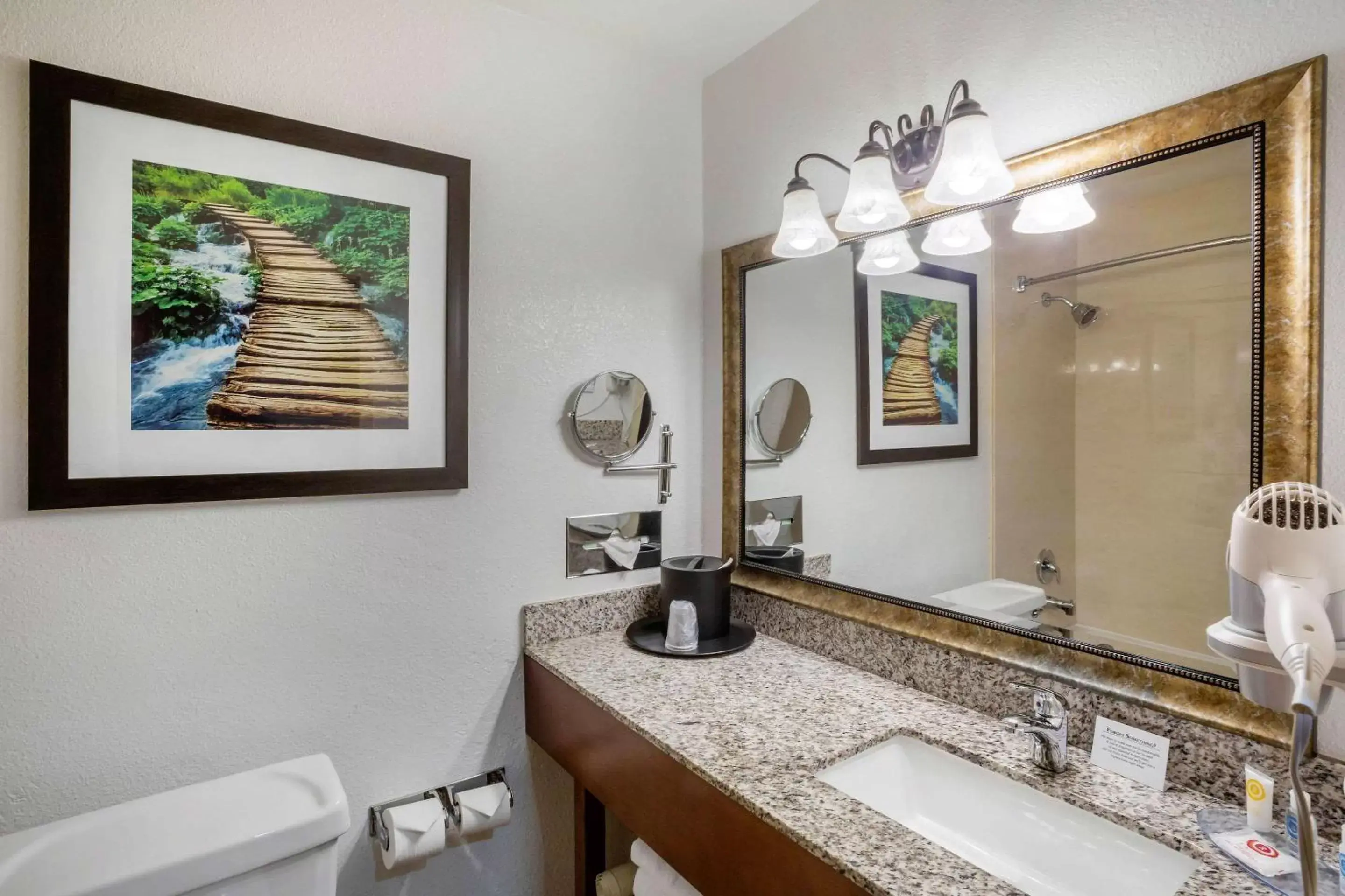Photo of the whole room, Bathroom in Comfort Inn Castro Valley