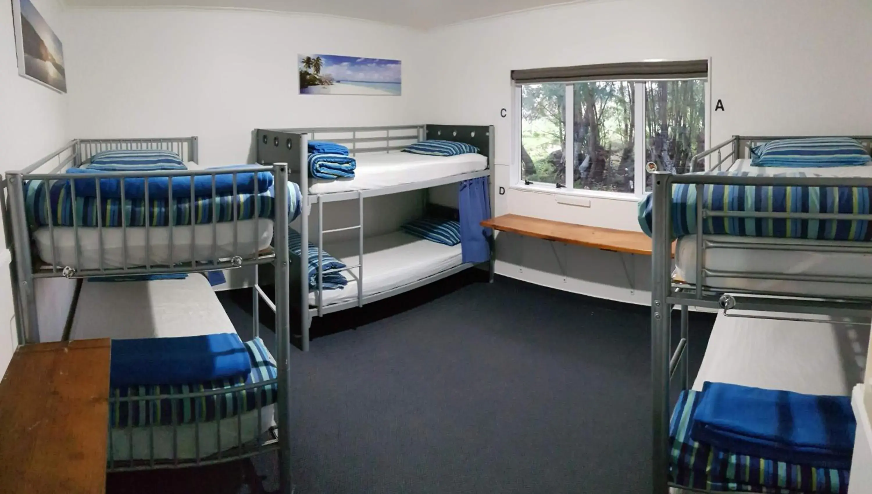 Photo of the whole room, Bunk Bed in Happy Apple Backpackers