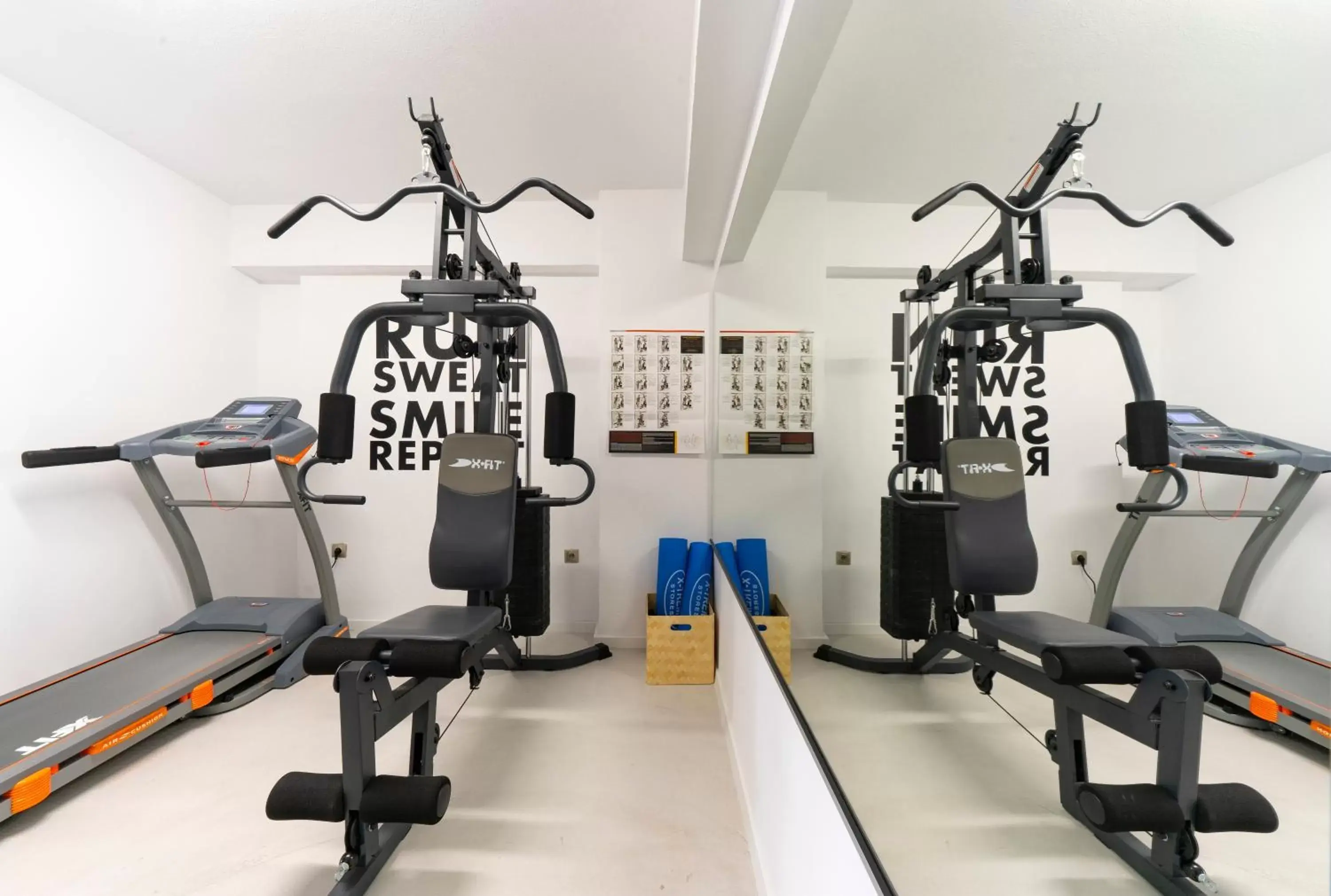 Fitness centre/facilities, Fitness Center/Facilities in The Anthemion House