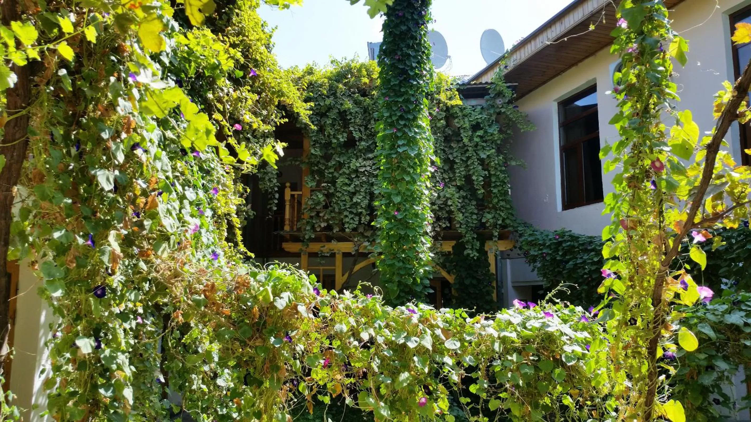 Property building in Jahongir