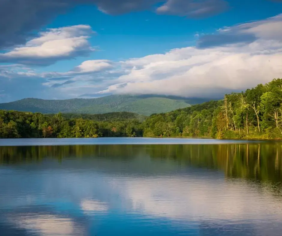 Natural Landscape in Meadowbrook Inn