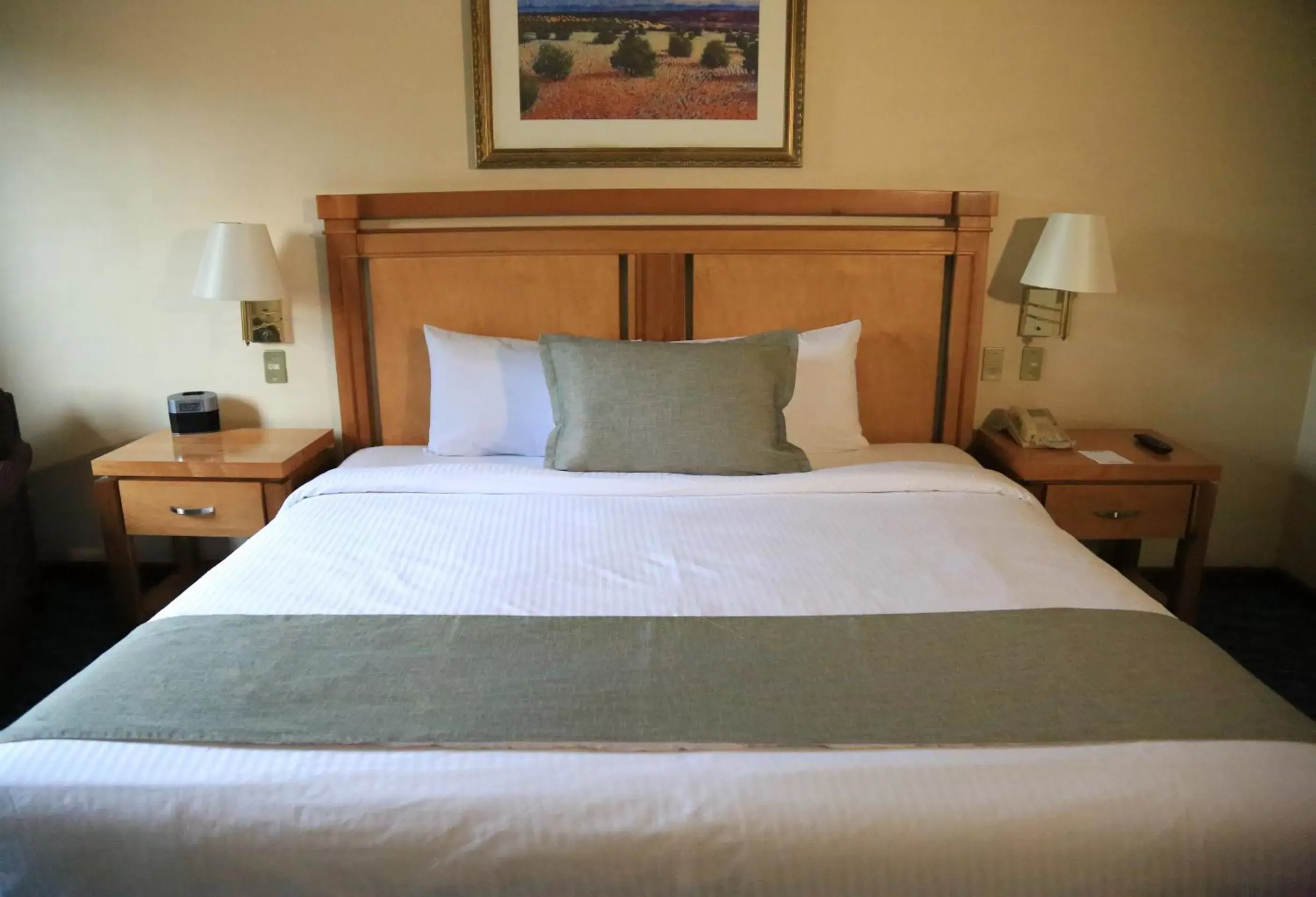 Bed in Quality Inn & Suites Saltillo Eurotel