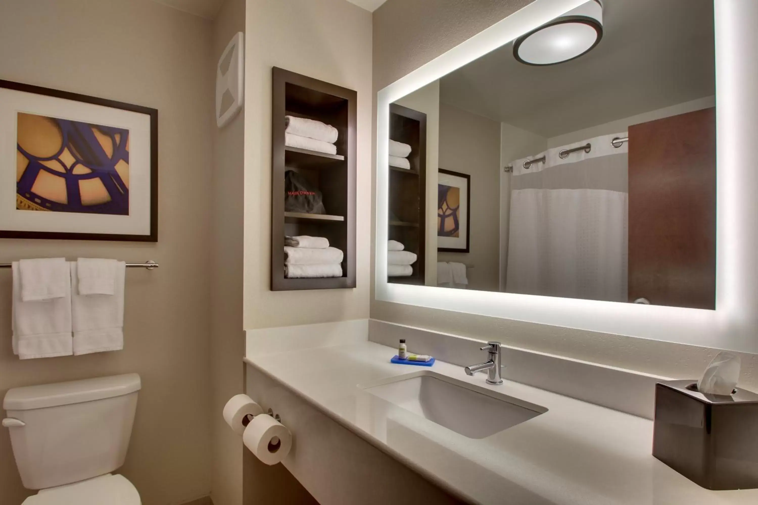 Bathroom in Holiday Inn Express & Suites Lancaster East - Strasburg, an IHG Hotel