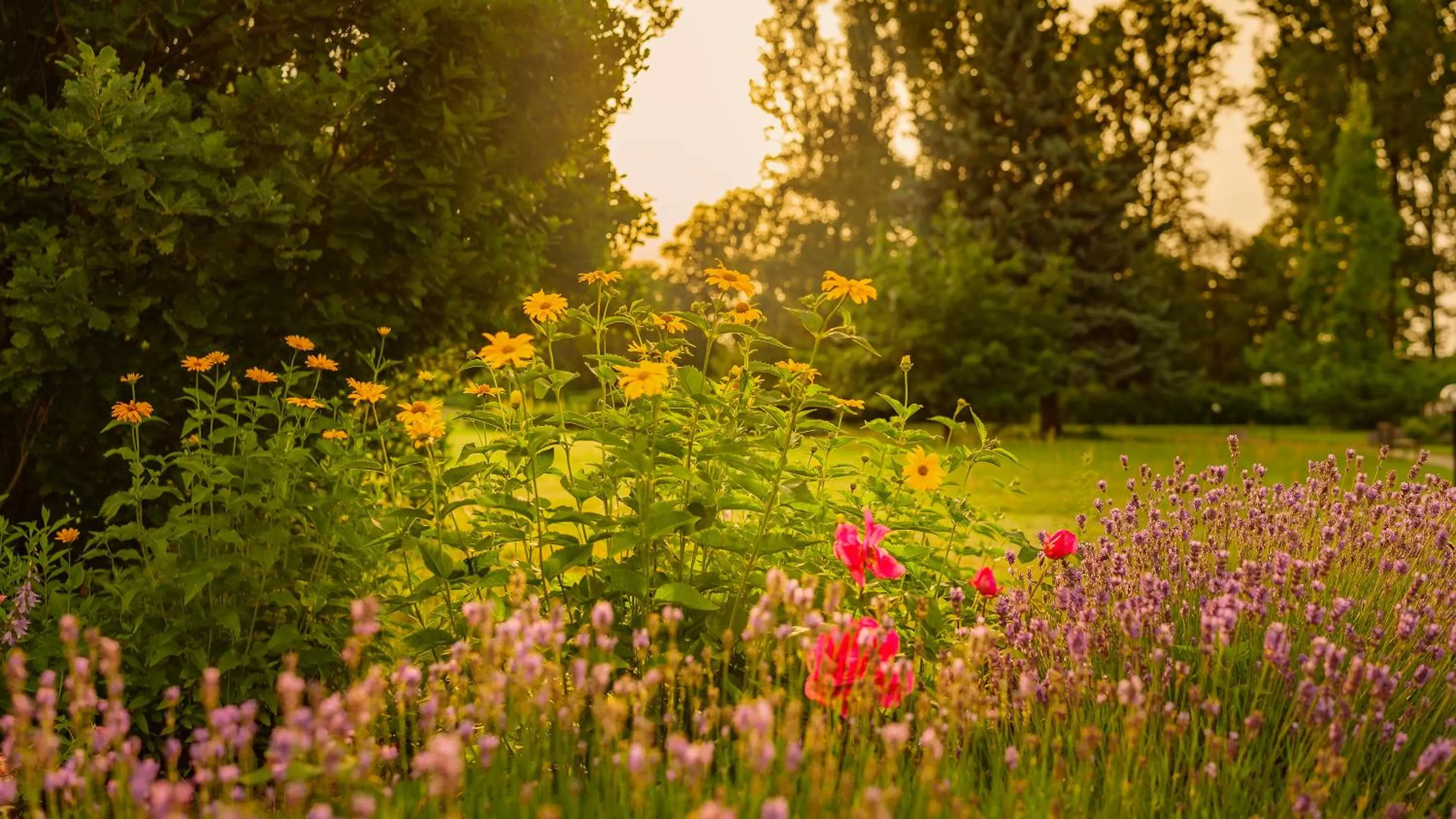 Garden in Seepark Hotel am Wandlitzsee
