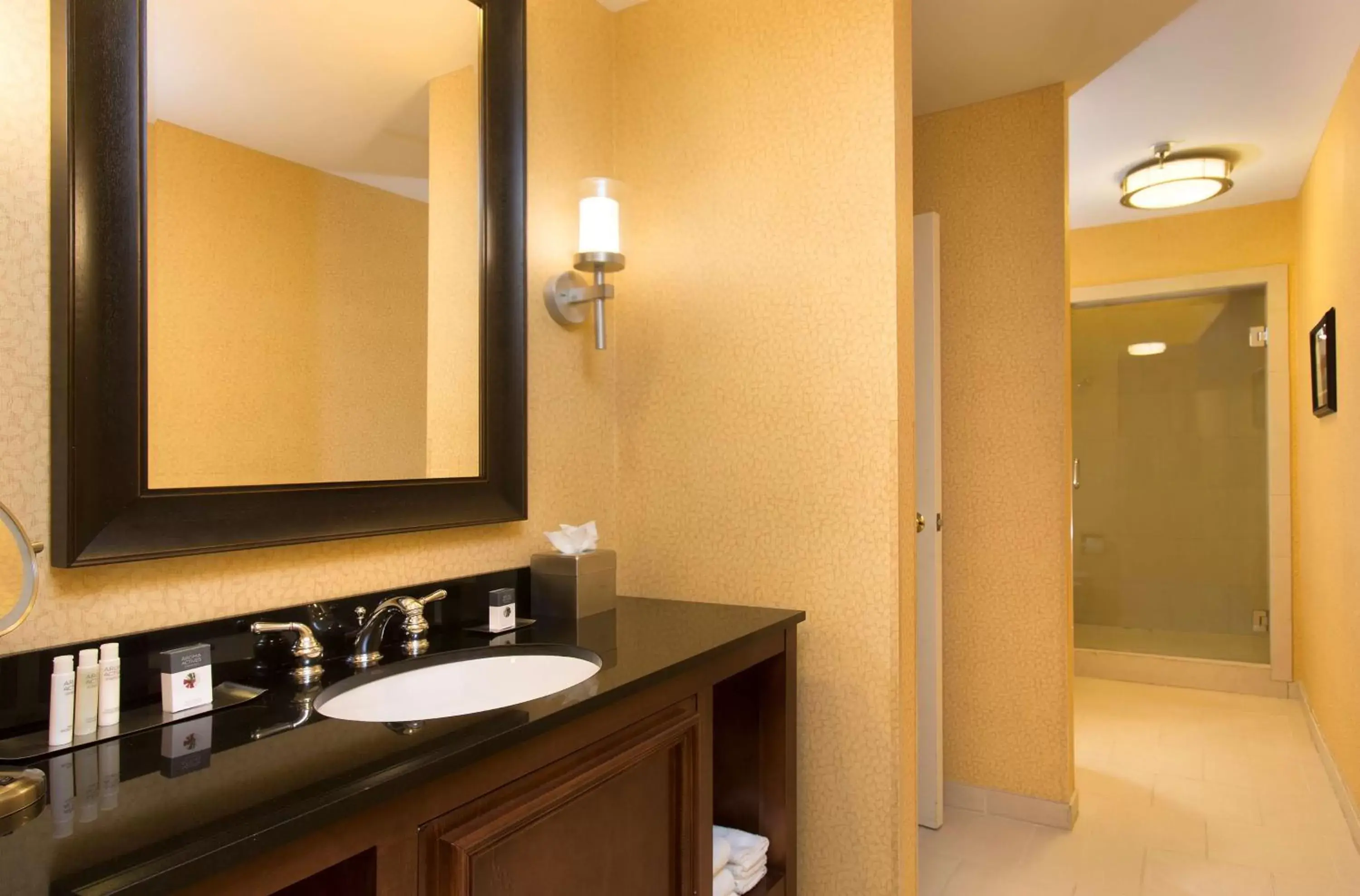 Bathroom in DoubleTree Suites by Hilton Lexington