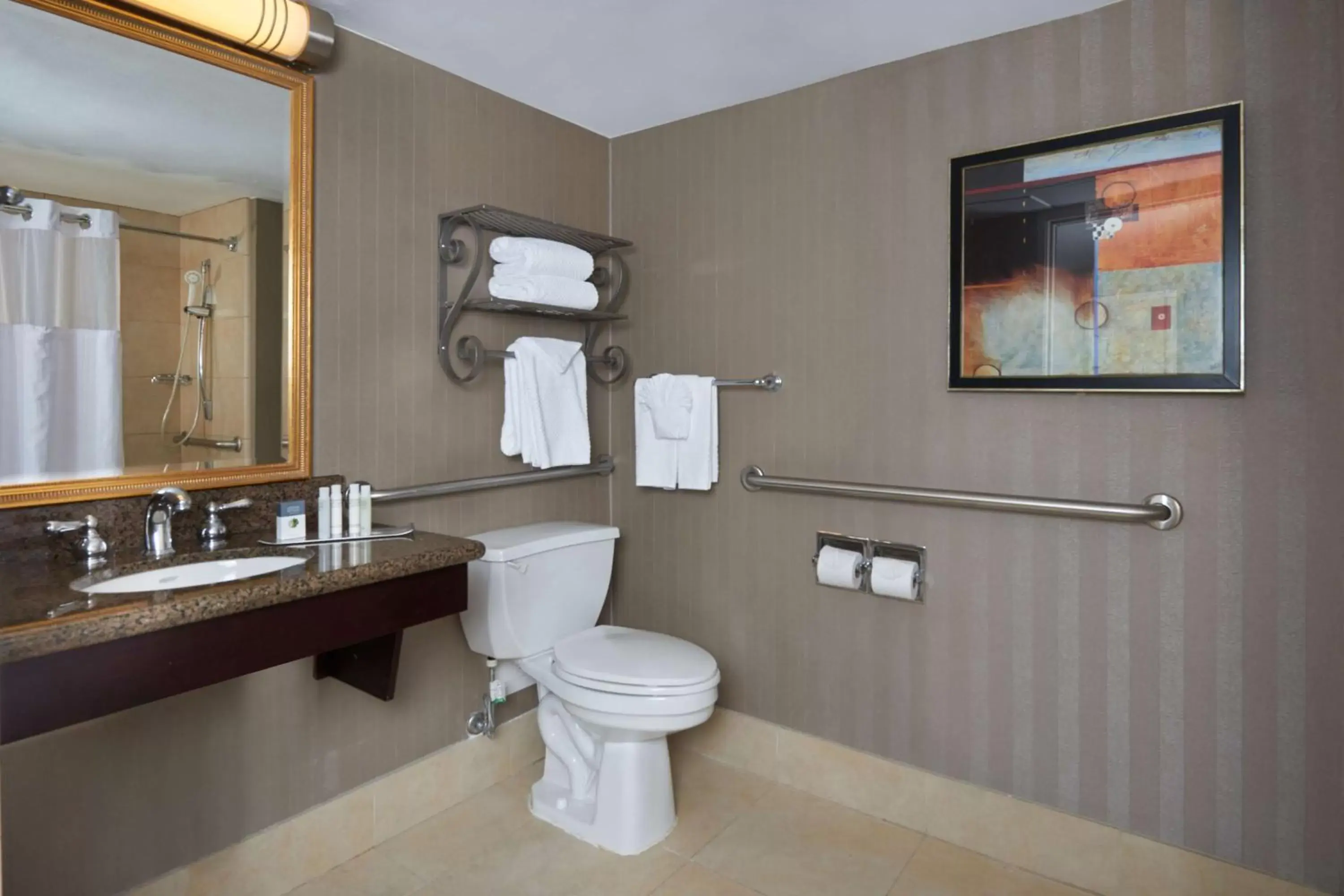 King Room with Roll-In Shower - Mobility Access/Non-Smoking in DoubleTree by Hilton Dallas Market Center King Room with Roll-In Shower - Mobility Access/Non-Smoking in DoubleTree by Hilton Dallas Market Center