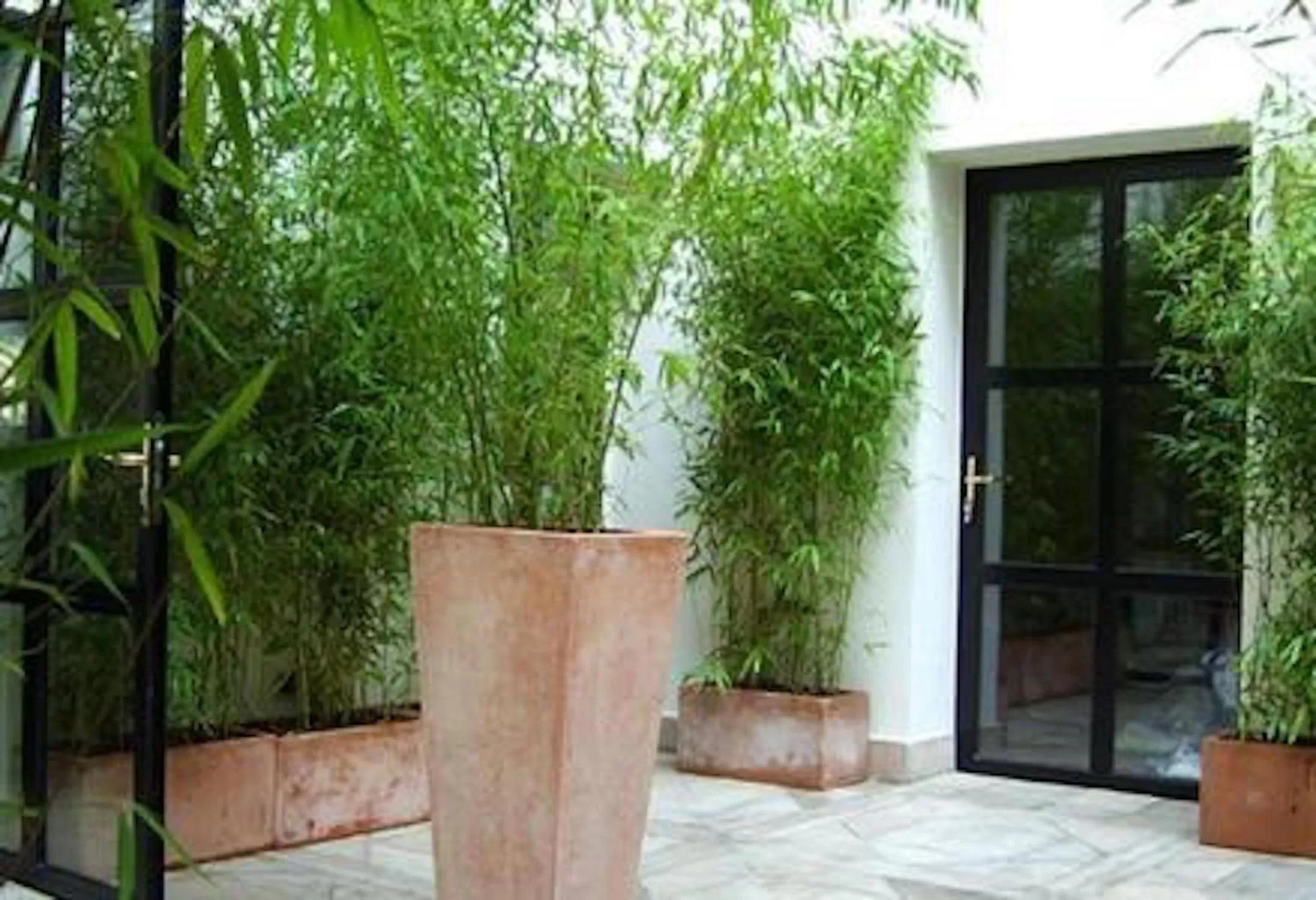 Patio in Hôtel Tingis