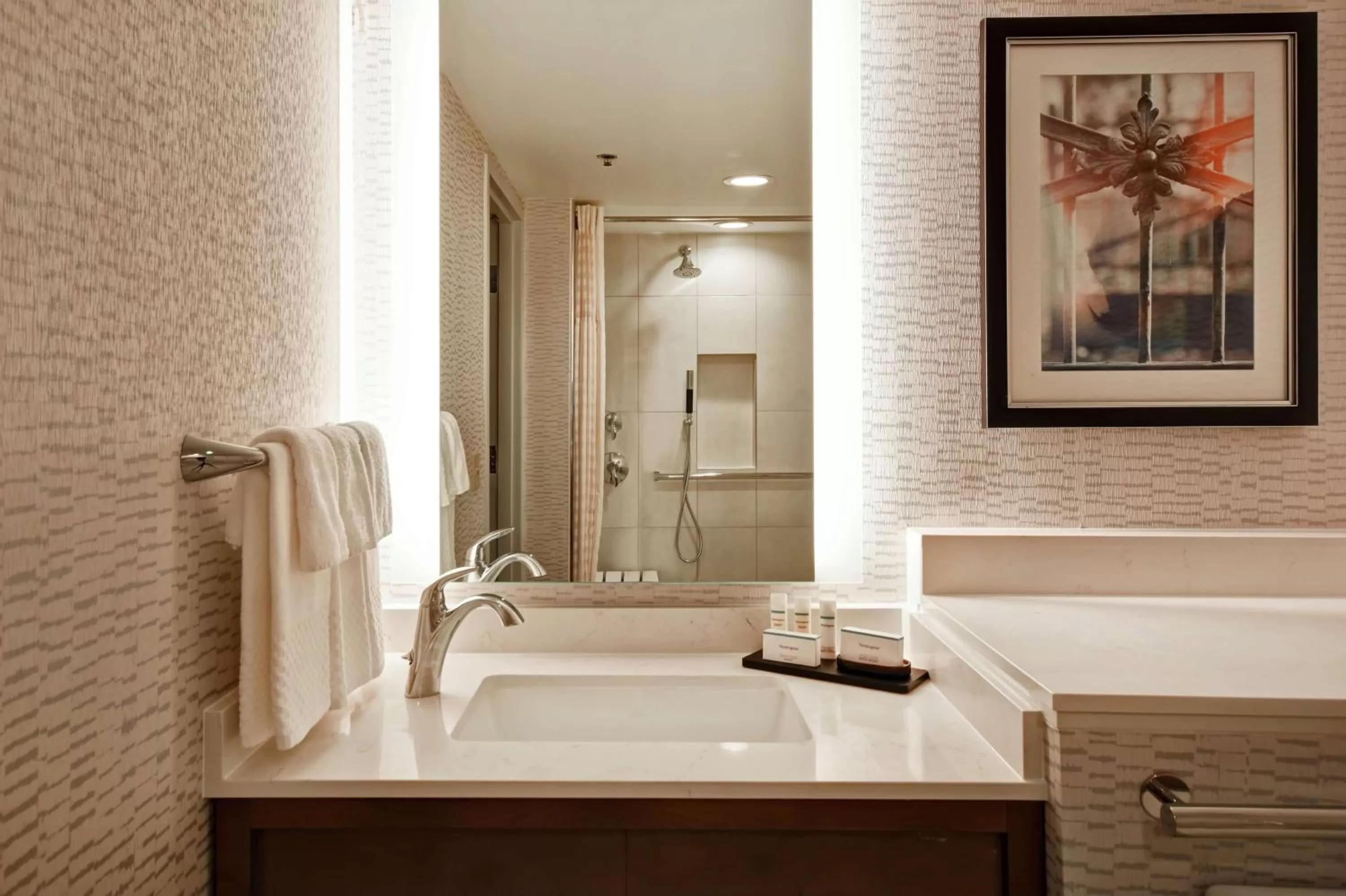 Bathroom in Embassy Suites by Hilton Omaha Downtown Old Market