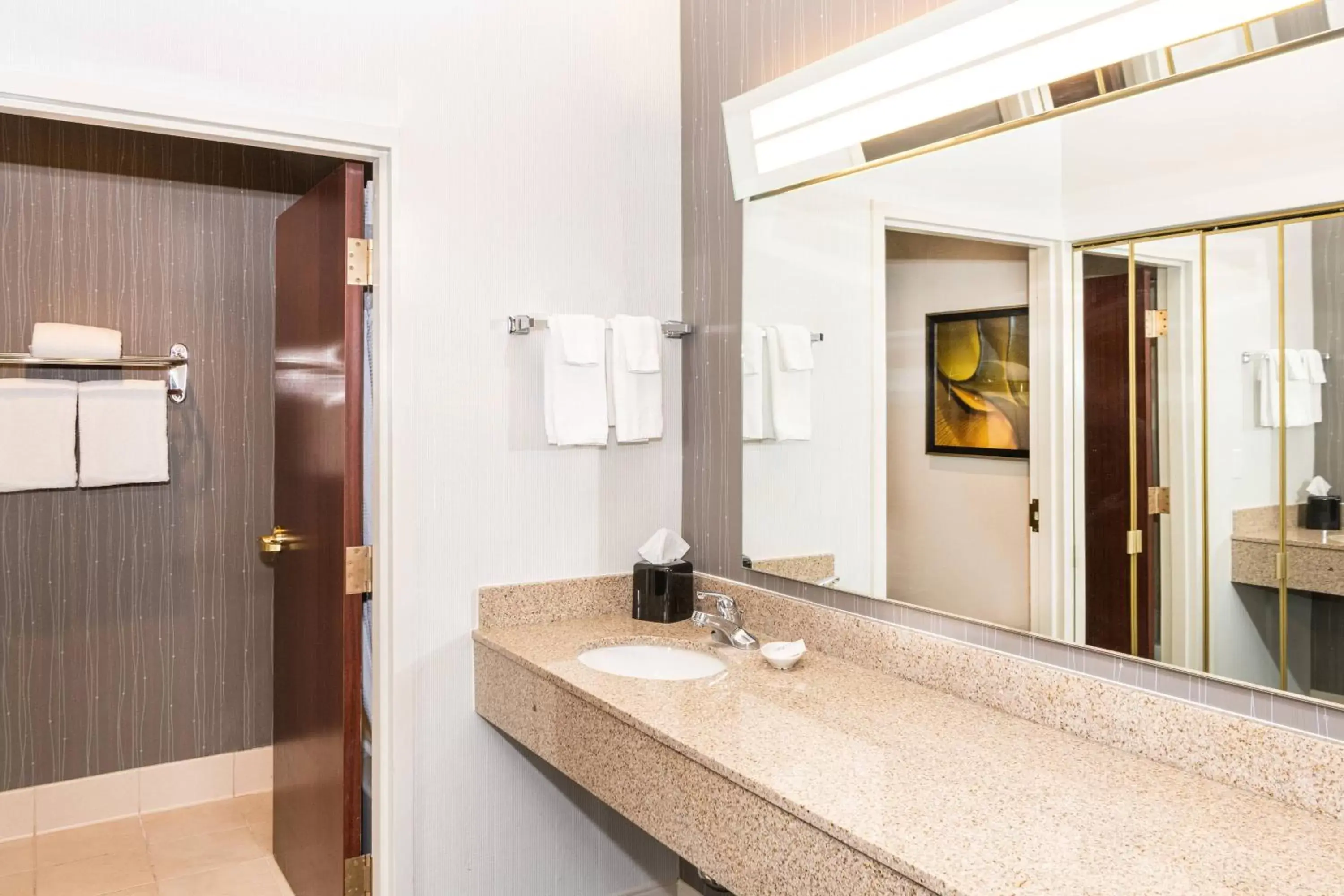 Bathroom in Courtyard by Marriott Columbus Tipton Lakes