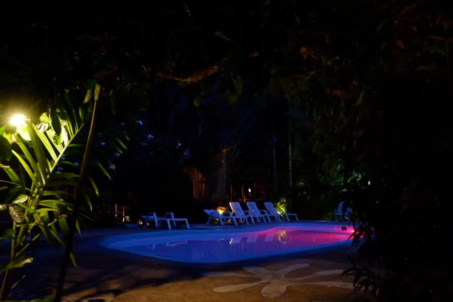 Night, Swimming Pool in Vipa Tropical Resort