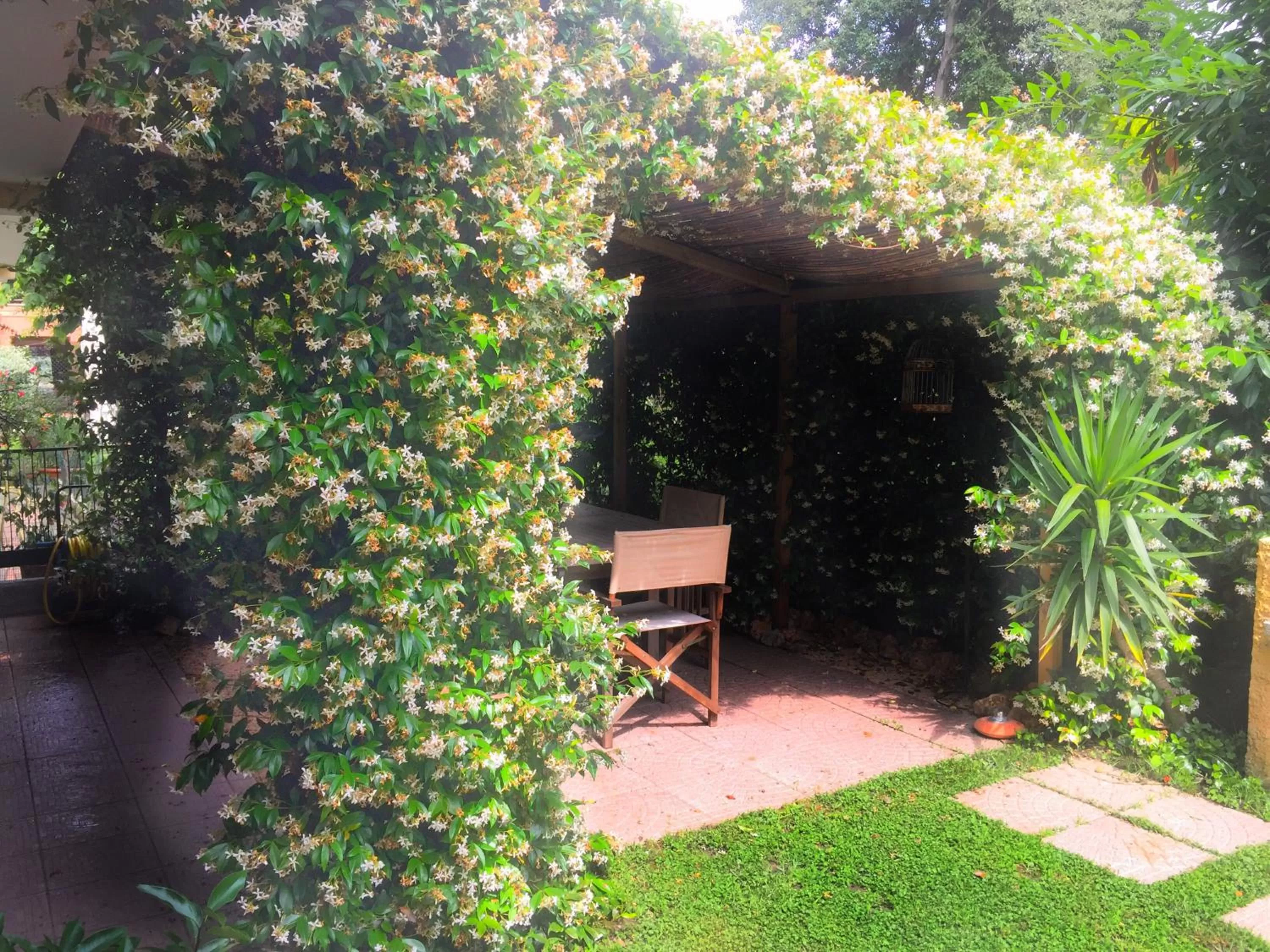 Garden view in Le Pinette