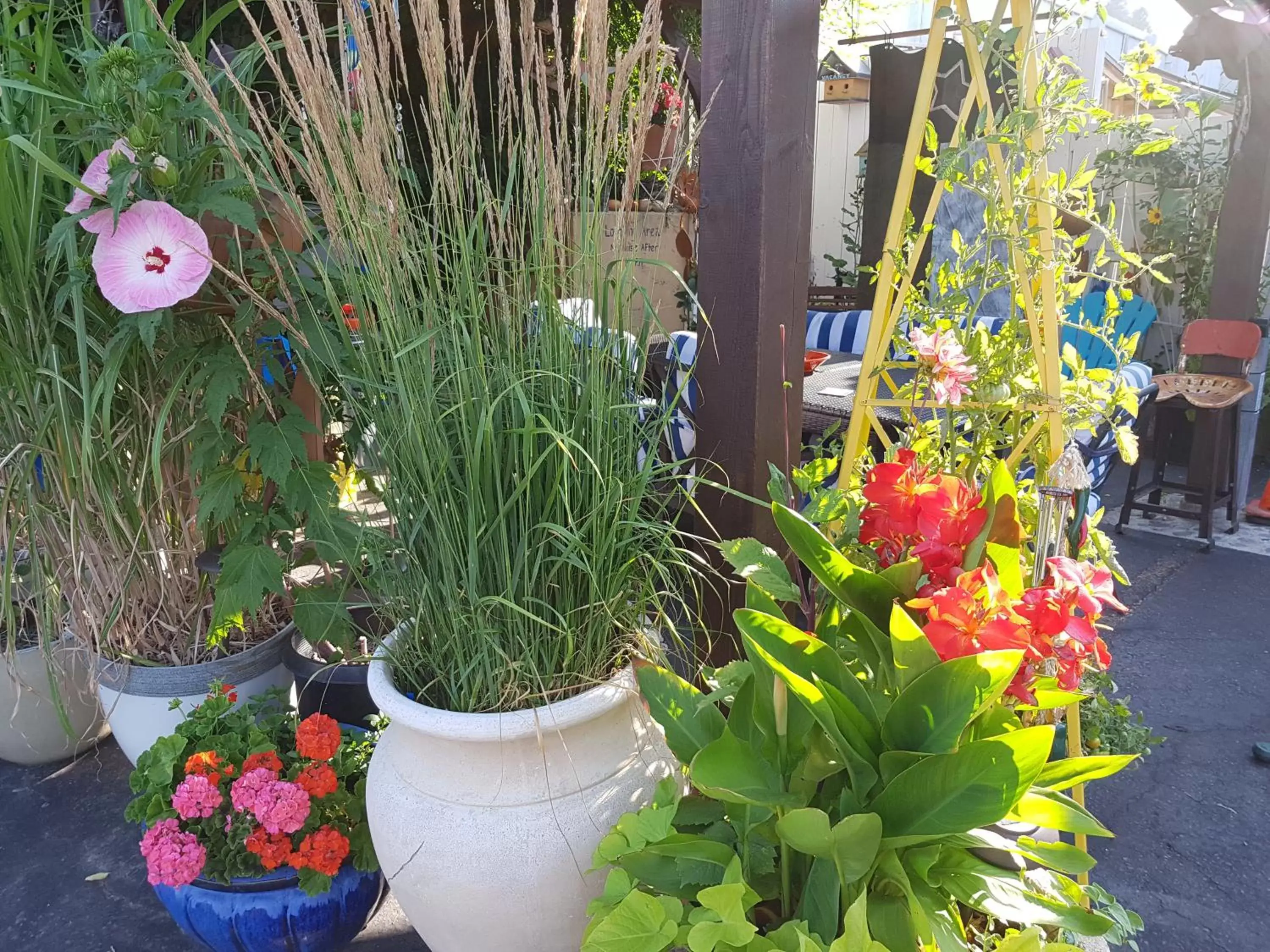 Garden in Creston Valley Motel