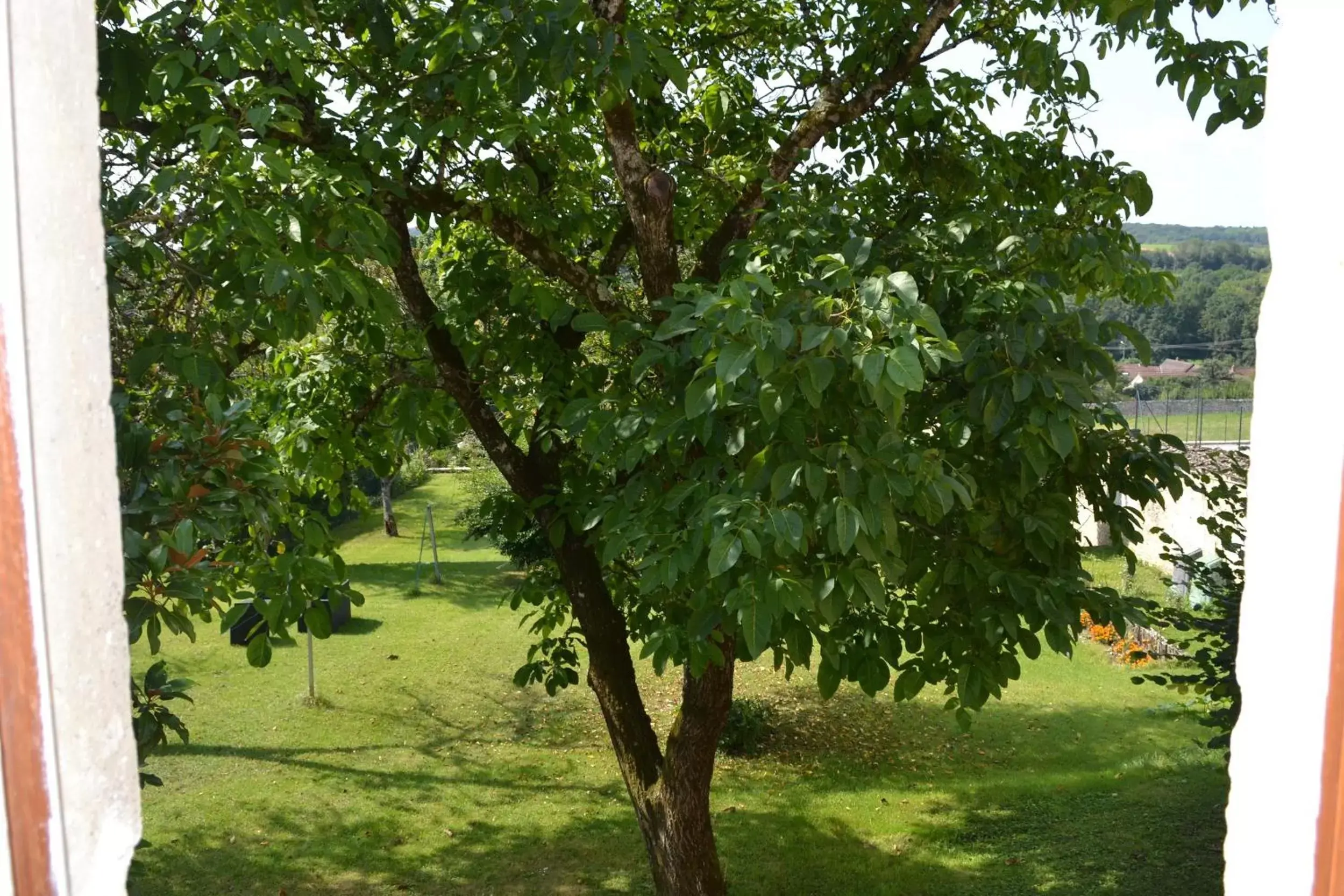 Garden view, Garden in Chambres d'Hôtes Le Moulin à Epices