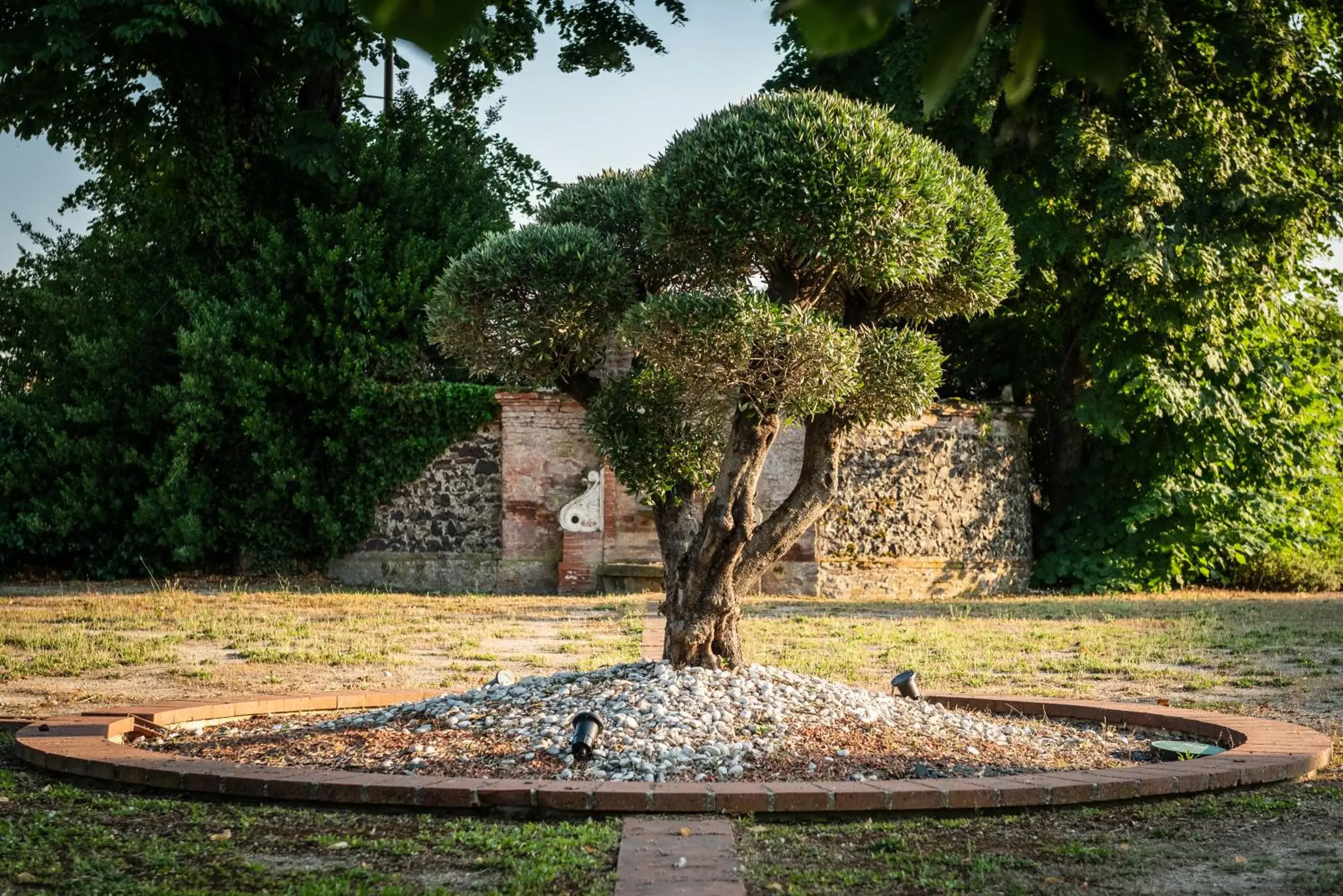 Garden in Residence de Diane - Toulouse