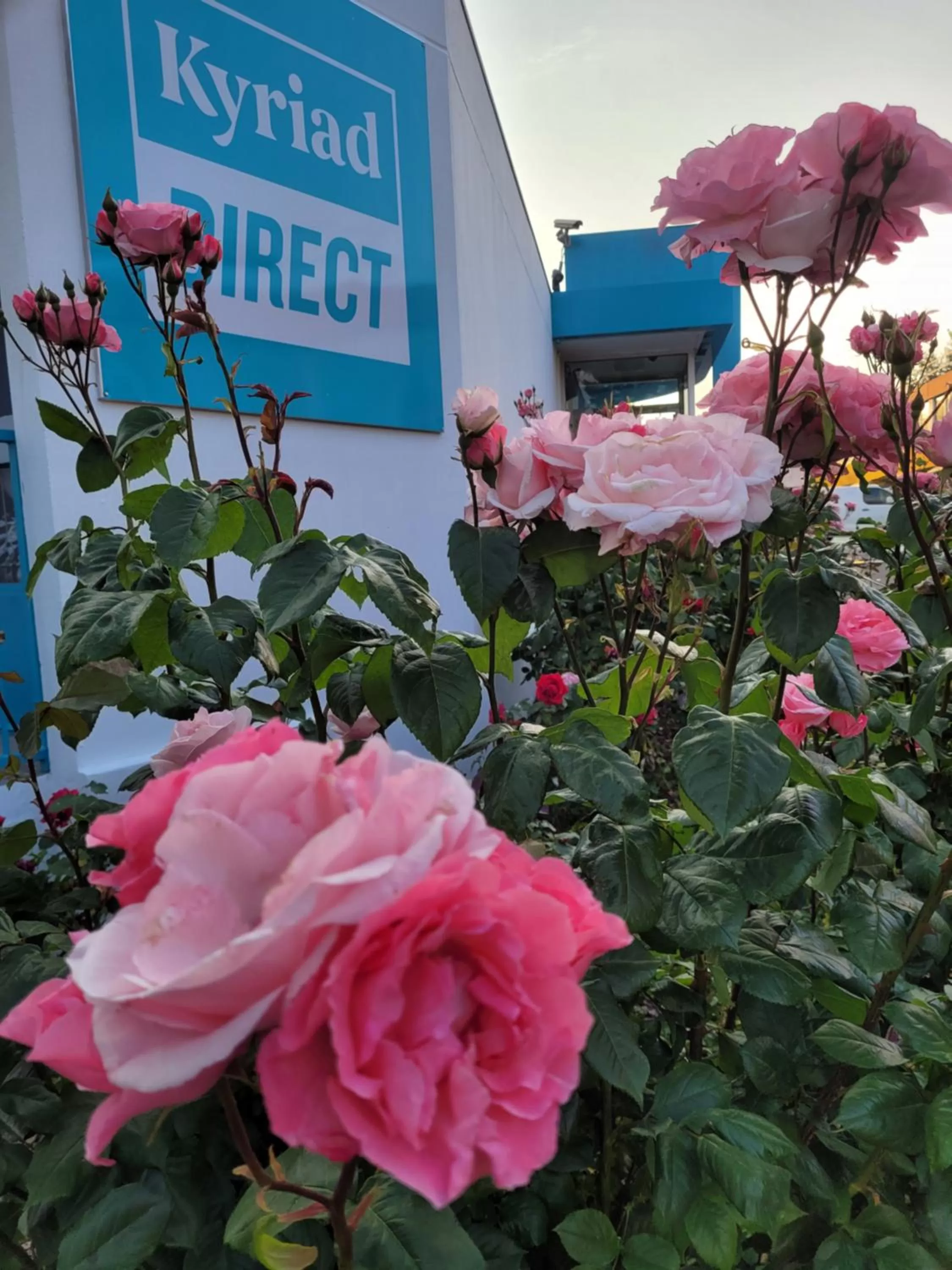 Garden in KYRIAD DIRECT LYON NORD - Dardilly