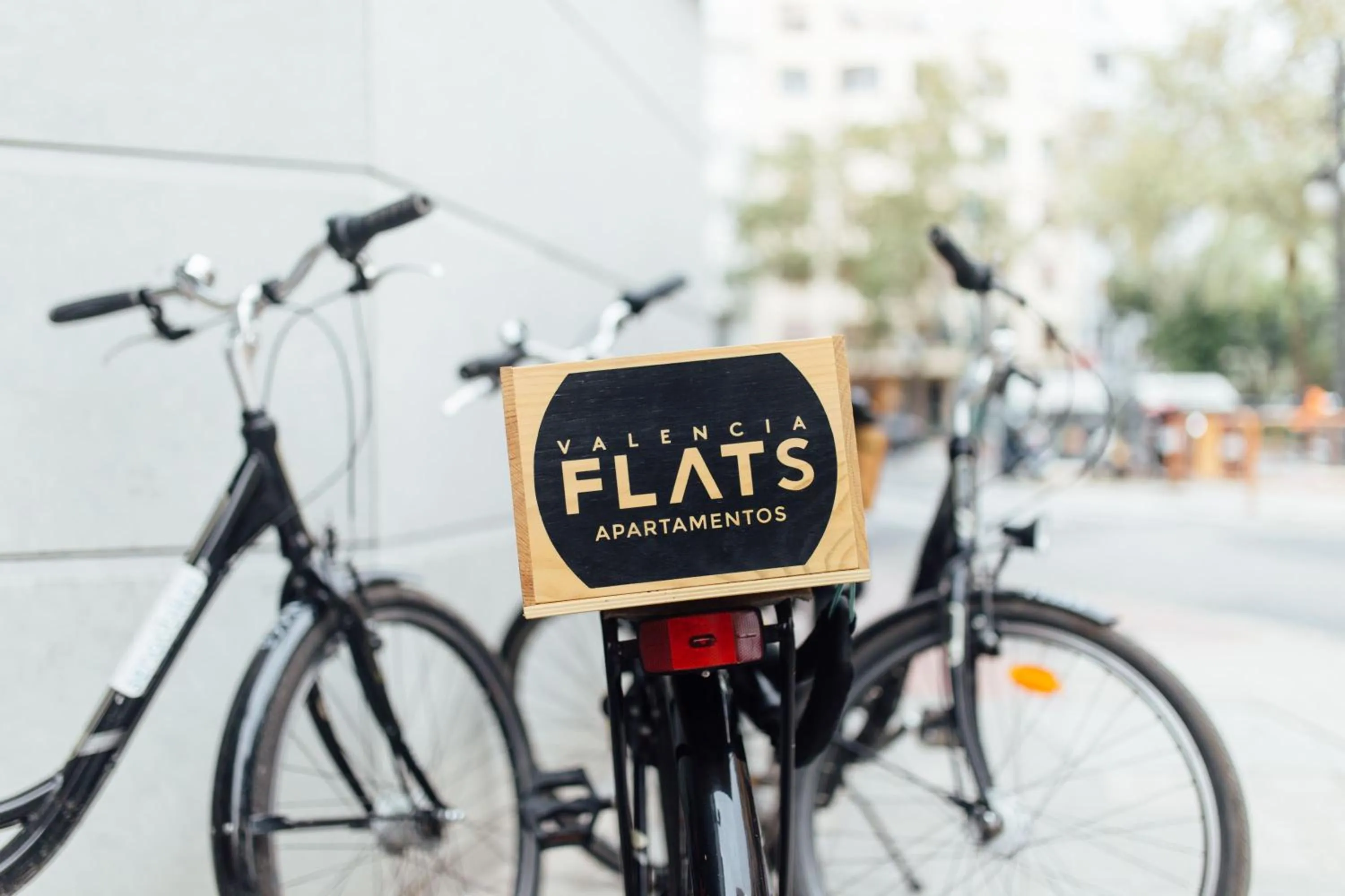 Activities in Valenciaflats Ciudad de las Ciencias