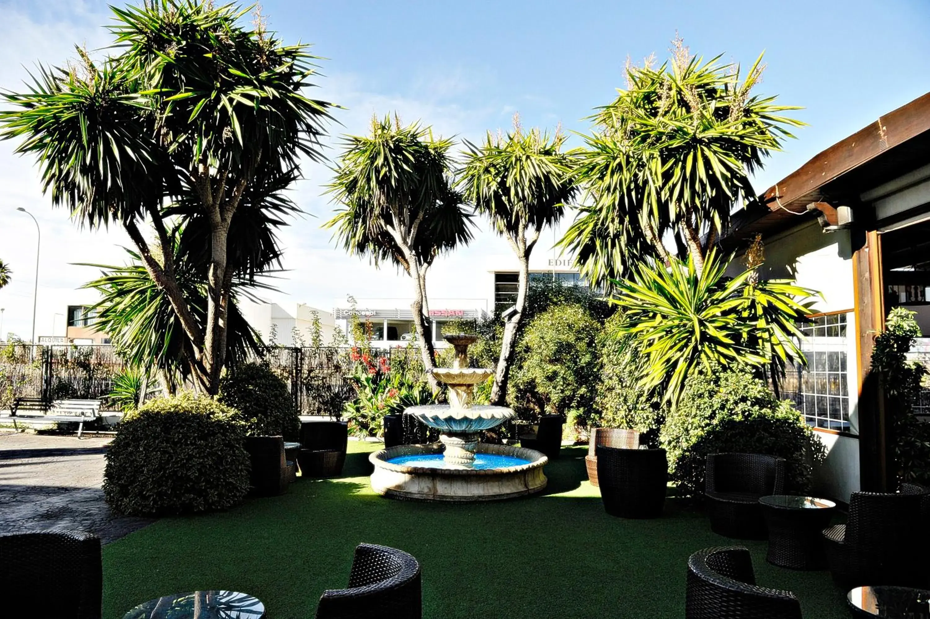 Garden in Hotel Lozano